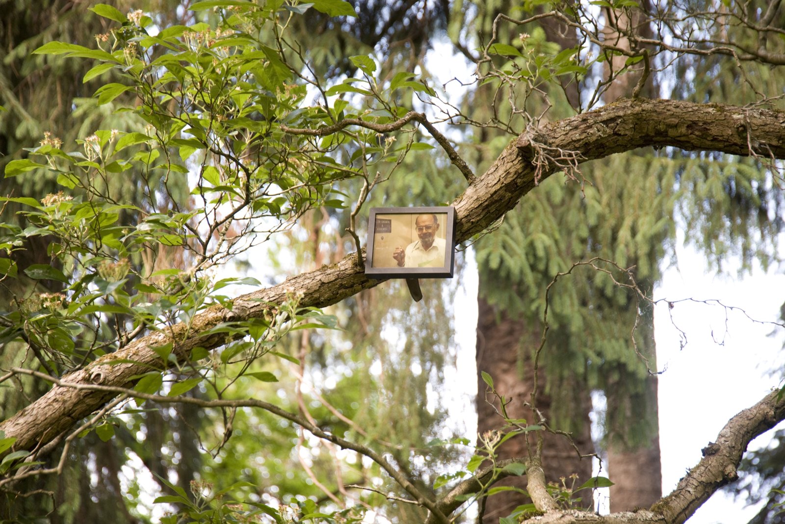 Geoffrey Farmer, If You Want To See Something Look at Something Else (Allen Ginsberg 1926–1997), 2011, 50 colour photographs mounted on perspex, framed, dimensions variable. Installation view, Volunteer Park, Seattle, USA, 2019