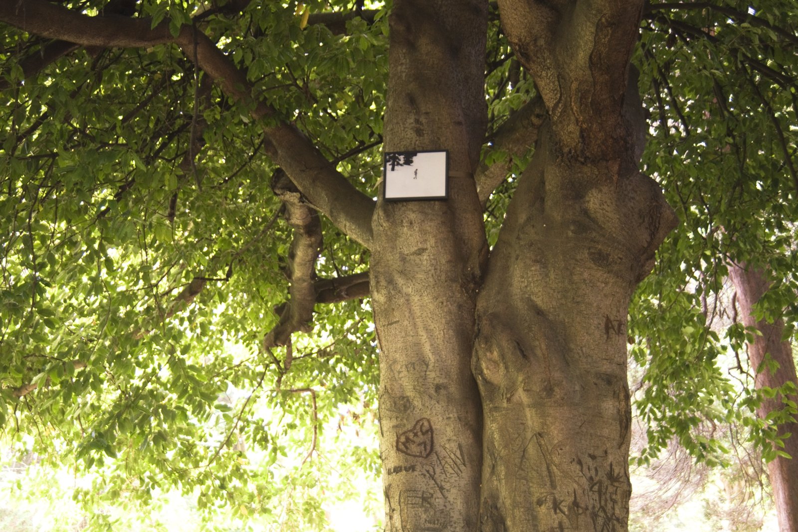 Geoffrey Farmer, If You Want To See Something Look at Something Else (Allen Ginsberg 1926–1997), 2011, 50 colour photographs mounted on perspex, framed, dimensions variable. Installation view, Volunteer Park, Seattle, USA, 2019