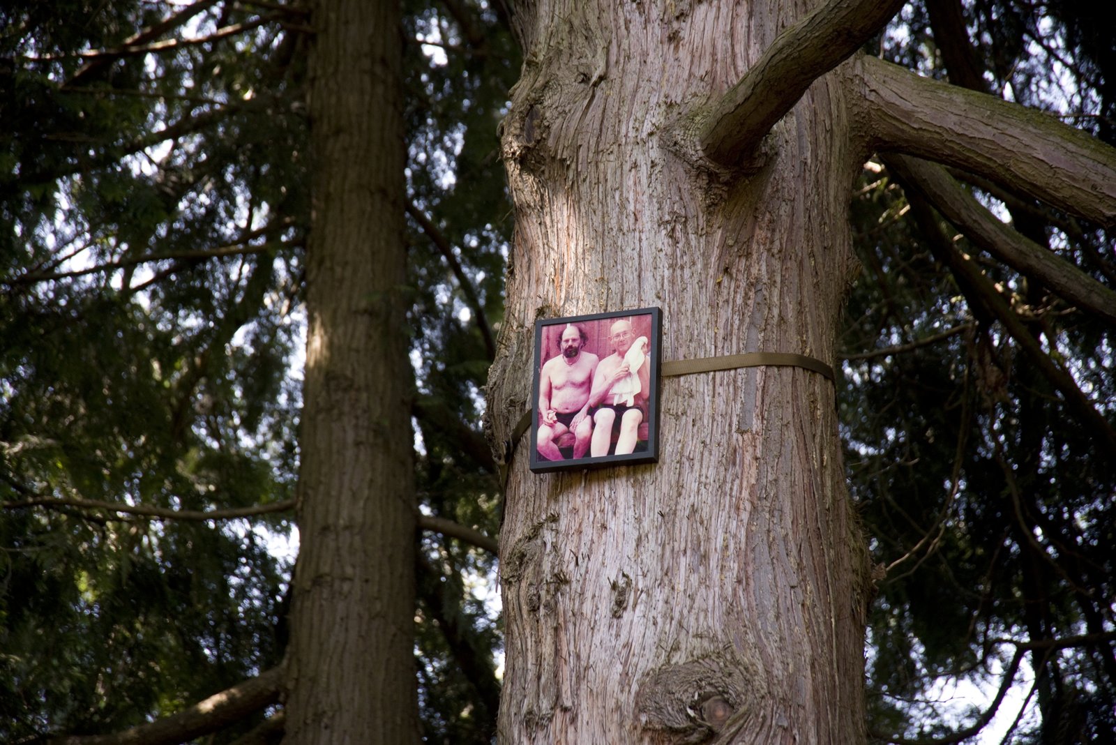Geoffrey Farmer, If You Want To See Something Look at Something Else (Allen Ginsberg 1926–1997), 2011, 50 colour photographs mounted on perspex, framed, dimensions variable. Installation view, Volunteer Park, Seattle, USA, 2019