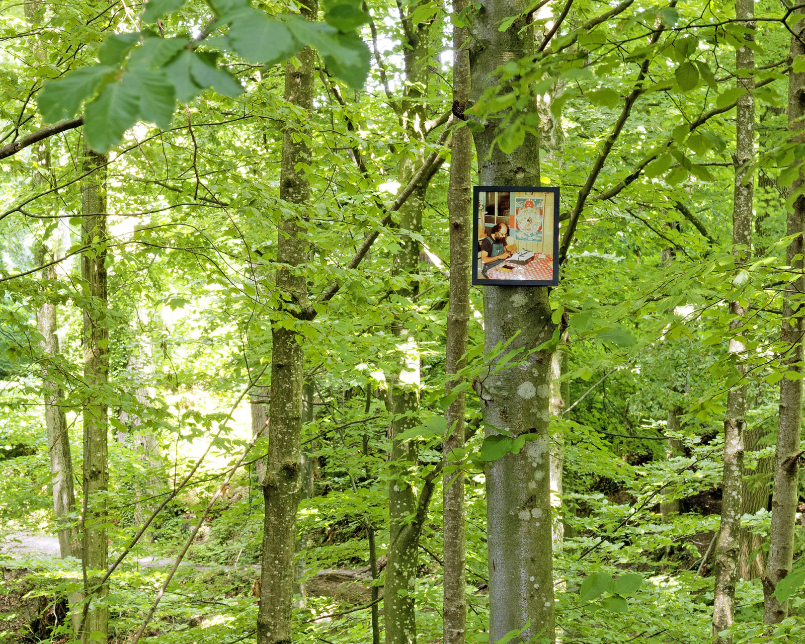 Geoffrey Farmer, If You Want To See Something Look at Something Else (Allen Ginsberg 1926–1997) from The Invisible Worm that Flies in the Night, 2011, 50 colour photographs mounted on perspex, framed, dimensions variable. Installation view, The Garden of Forking Paths, Migros Museum für Gegenwartskunst, Zurich, 2011
