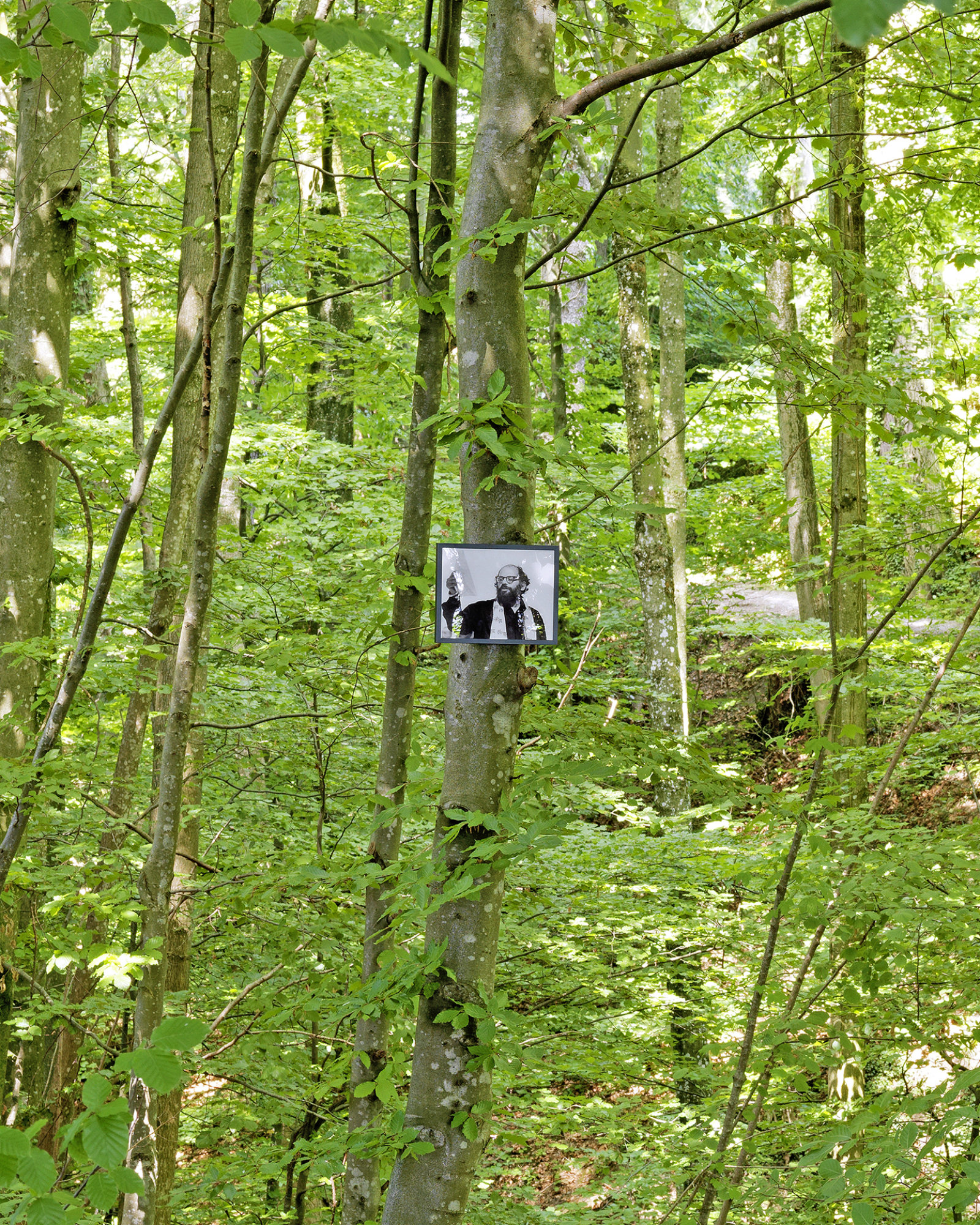 Geoffrey Farmer, If You Want To See Something Look at Something Else (Allen Ginsberg 1926–1997) from The Invisible Worm that Flies in the Night, 2011, 50 colour photographs mounted on perspex, framed, dimensions variable. Installation view, The Garden of Forking Paths, Migros Museum für Gegenwartskunst, Zurich, 2011