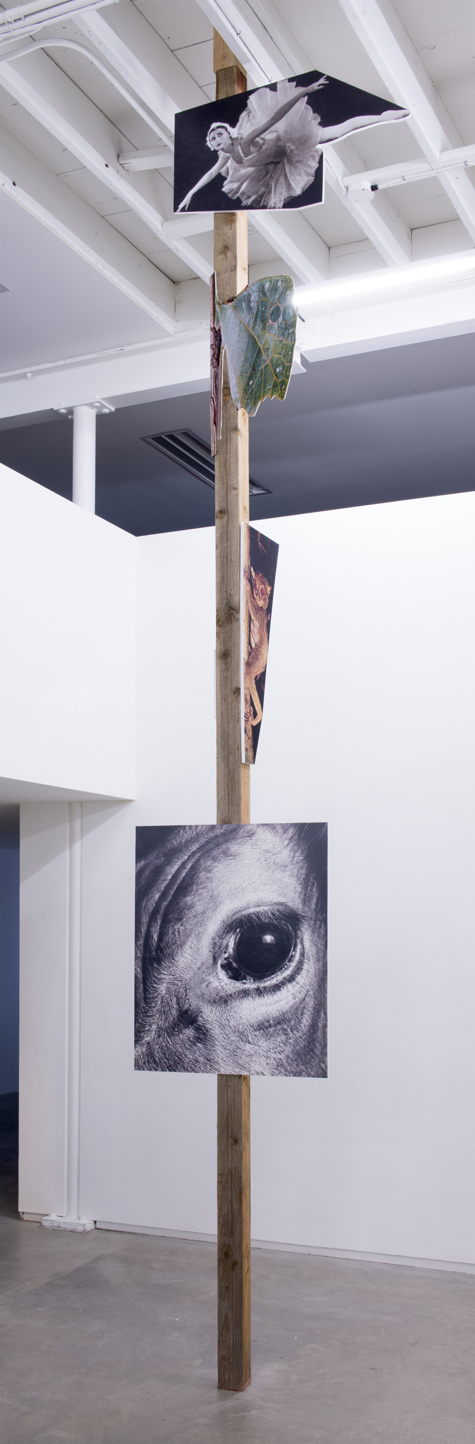 Geoffrey Farmer, In the dark pool the grass grows. In the grass there is night. Hold tight, and climb the tree, eating leaves then leap!, 2014, douglas fir pole, 6 photographs mounted on foamcore, 200 x 4 x 4 in. (508 x 9 x 9 cm)