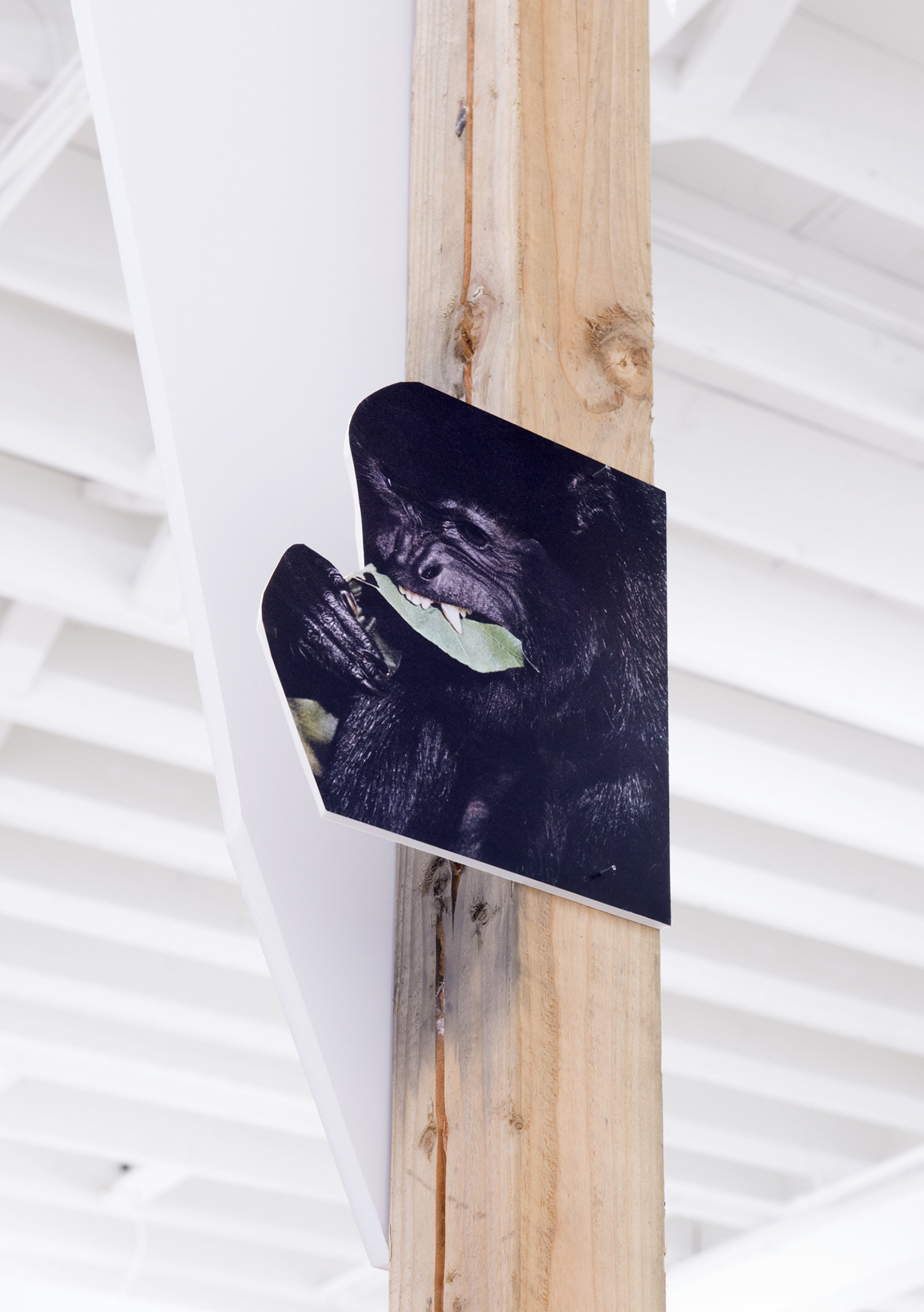 Geoffrey Farmer, In the dark pool the grass grows. In the grass there is night. Hold tight, and climb the tree, eating leaves then leap! (detail), 2014, douglas fir pole, 6 photographs mounted on foamcore, 200 x 4 x 4 in. (508 x 9 x 9 cm)