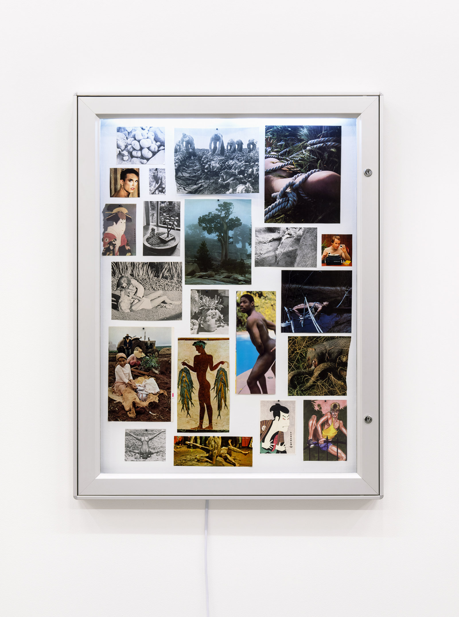 Geoffrey Farmer, Proof of an External World, 2011, display case, images cut from books and magazines, map tacks, 32 x 43 x 2 in. (82 x 108 x 5 cm)
