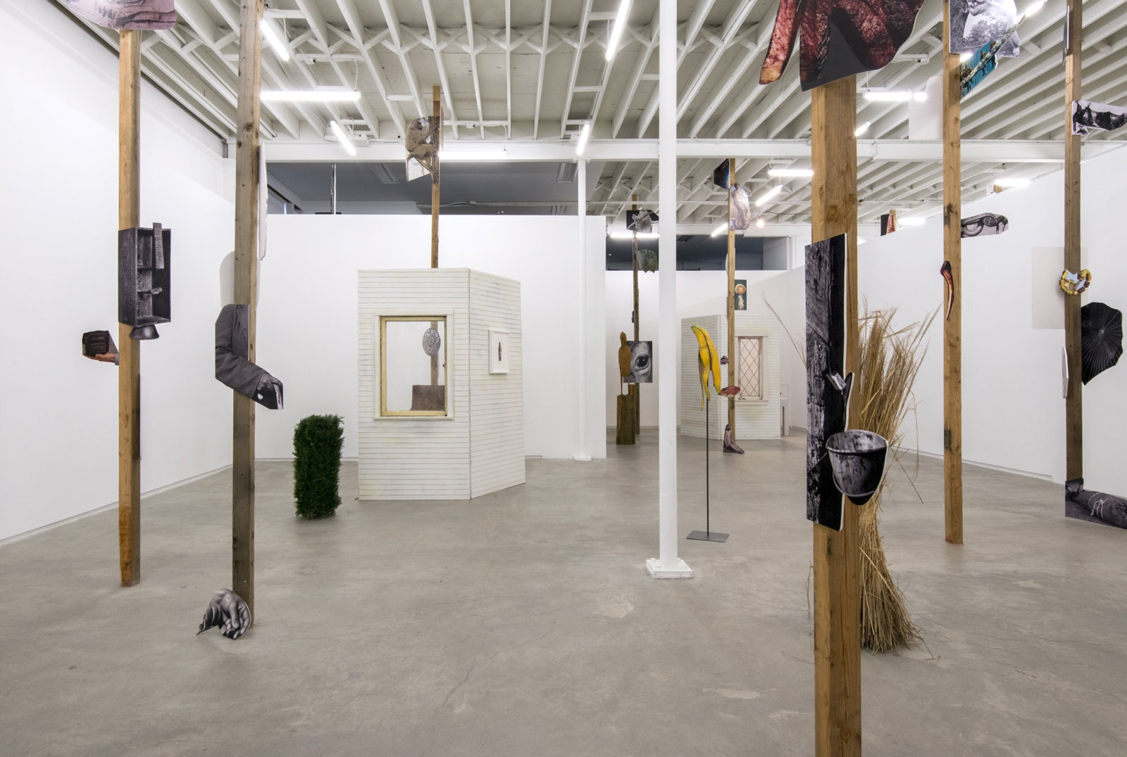 Geoffrey Farmer, installation view, The Grass and the Banana go for a walk, Catriona Jeffries, 2014