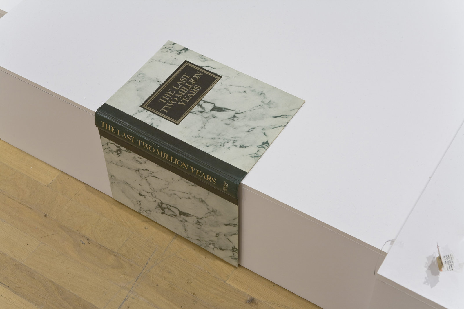 Geoffrey Farmer, The Last Two Million Years, 2007, foamcore plinths, perspex frames and cutouts from selected pages of the history book The Last Two Million Years, dimensions variable. Installation view, Musée d'art contemporain de Montréal, 2008