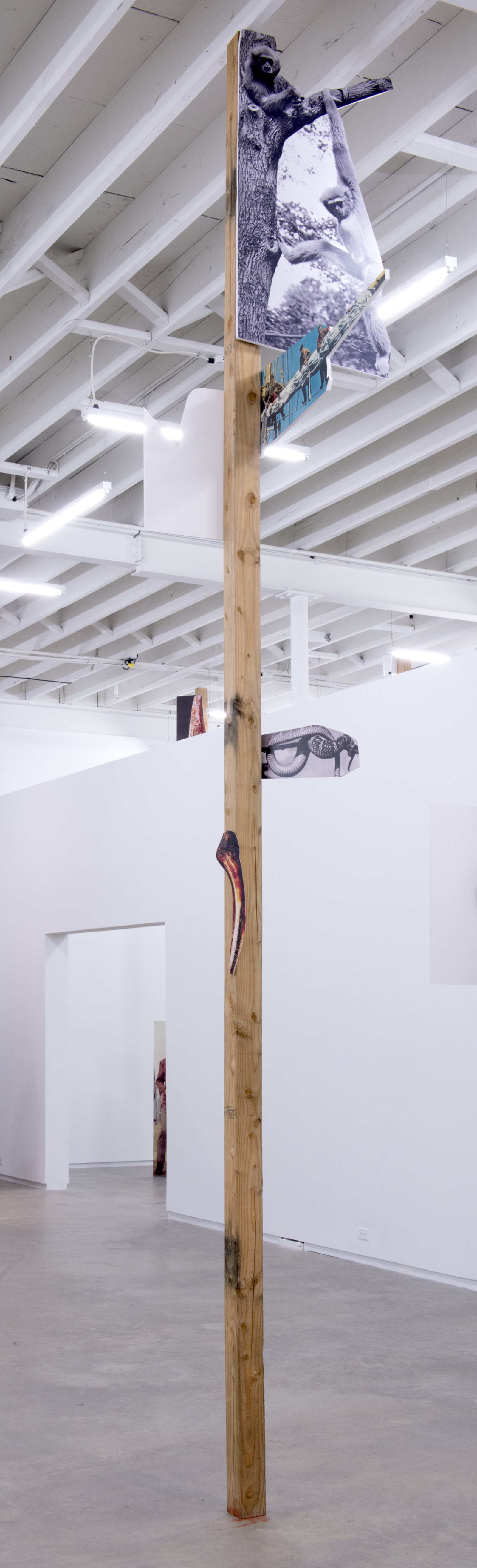 Geoffrey Farmer, The other ate one man, one man was set adrift, one man turned into a snake, one man washed ashore and became a statue and the others eyes were stolen by the owl., 2014, douglas fir pole, 6 photographs mounted on foamcore, 200 x 4 x 4 in. (508 x 9 x 9 cm)