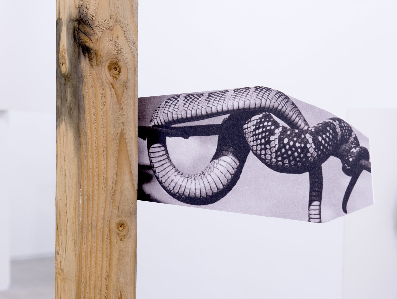 Geoffrey Farmer, The other ate one man, one man was set adrift, one man turned into a snake, one man washed ashore and became a statue and the others eyes were stolen by the owl. (detail), 2014, douglas fir pole, 6 photographs mounted on foamcore, 200 x 4 x 4 in. (508 x 9 x 9 cm)