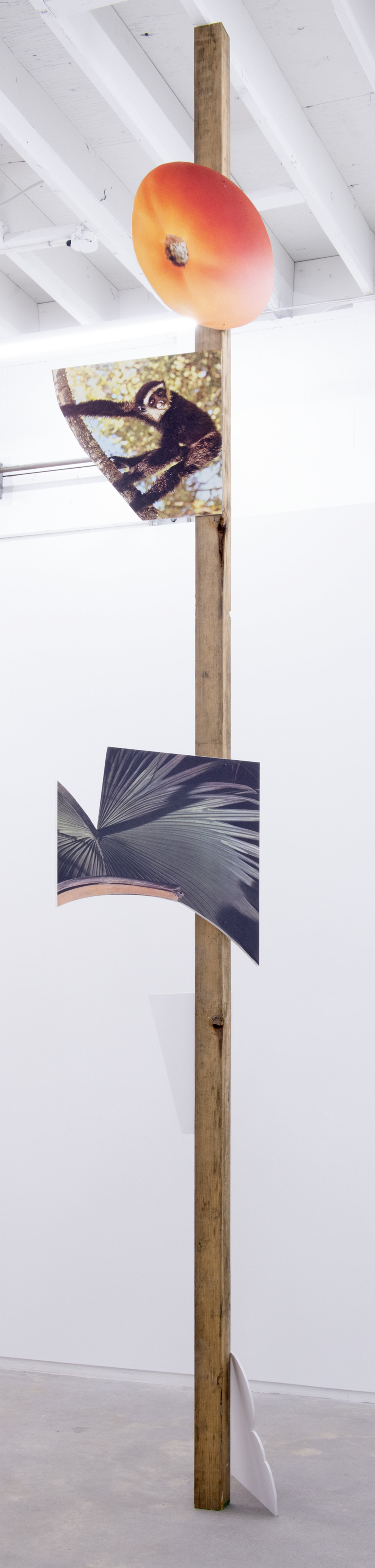 Geoffrey Farmer, This one is the lightness of a palm frond, the sound of a lute, the colour of fruit. The expressions of a monkey. A large orange eye. I drift in the warm wind., 2014, douglas fir pole, 6 photographs mounted on foamcore, 200 x 4 x 4 in. (508 x 9 x 9 cm)