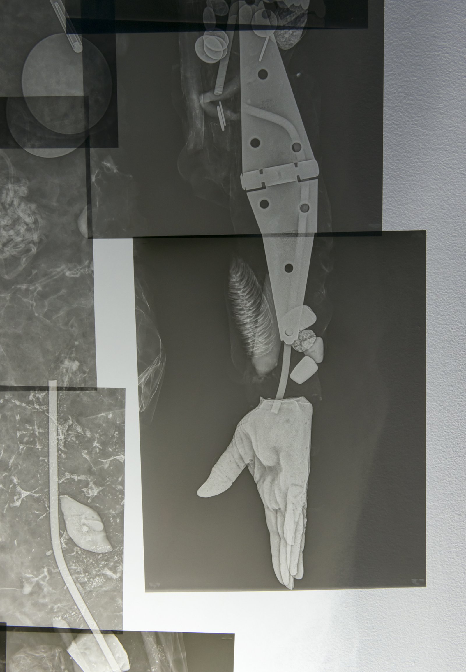 ​Julia Feyrer, Extra Rays (detail), 2018, digital x-ray on transparency, sanded plexiglass, 95 x 48 x 14 in. (241 x 122 x 36 cm) by Julia Feyrer