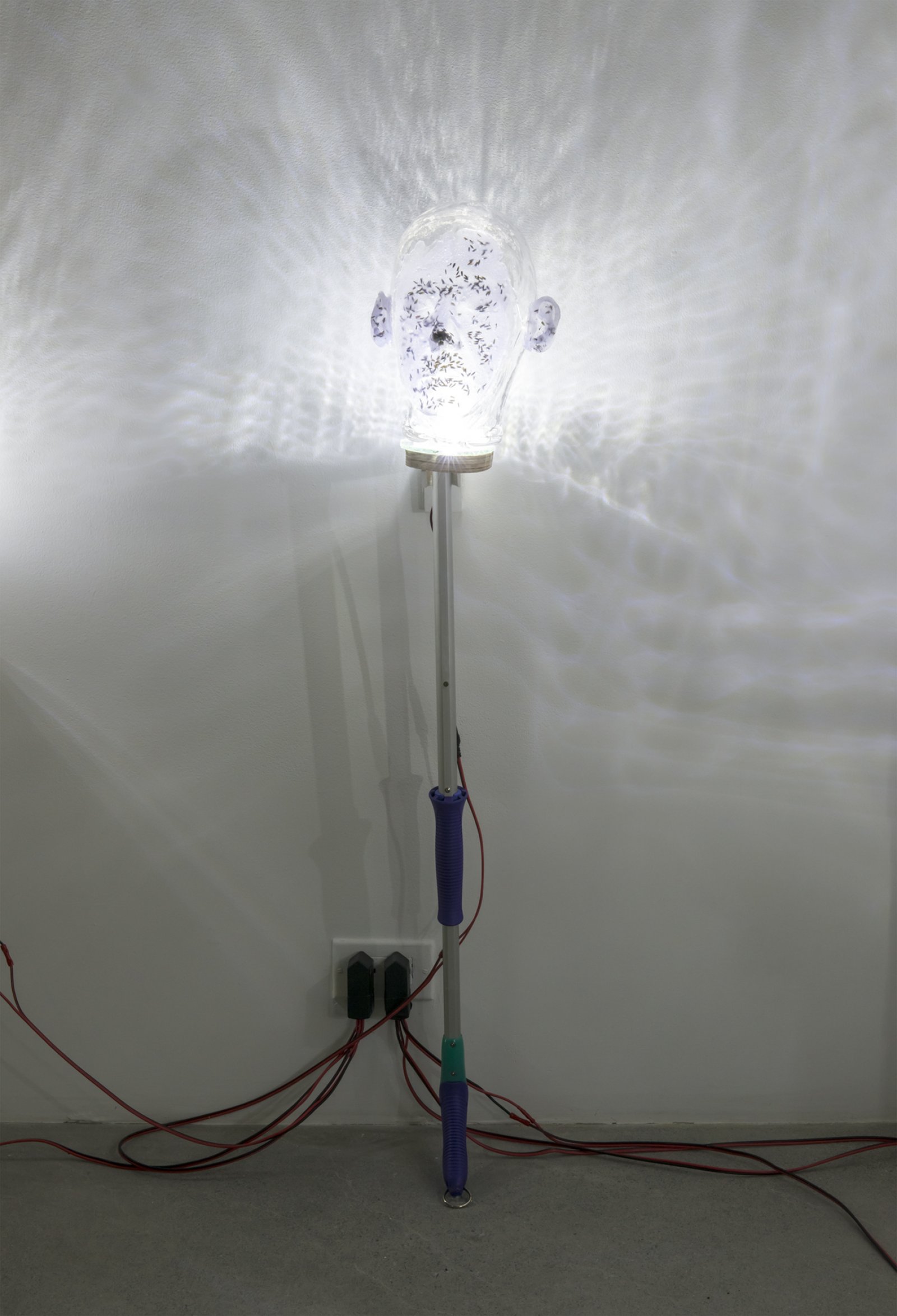 ​​Julia Feyrer, Witnesses, 2018, lavender, swiffer handle, handblown glass, dyed silicone, LED lights, 40 x 7 x 10 in. (102 x 18 x 25 cm)​ by Julia Feyrer