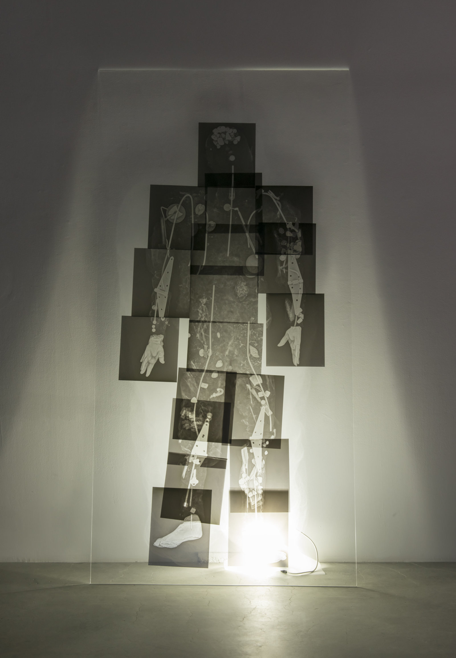 Kasper Feyrer, Extra Rays, 2018, digital x-ray on transparency, sanded plexiglass, 95 x 48 x 14 in. (241 x 122 x 36 cm)