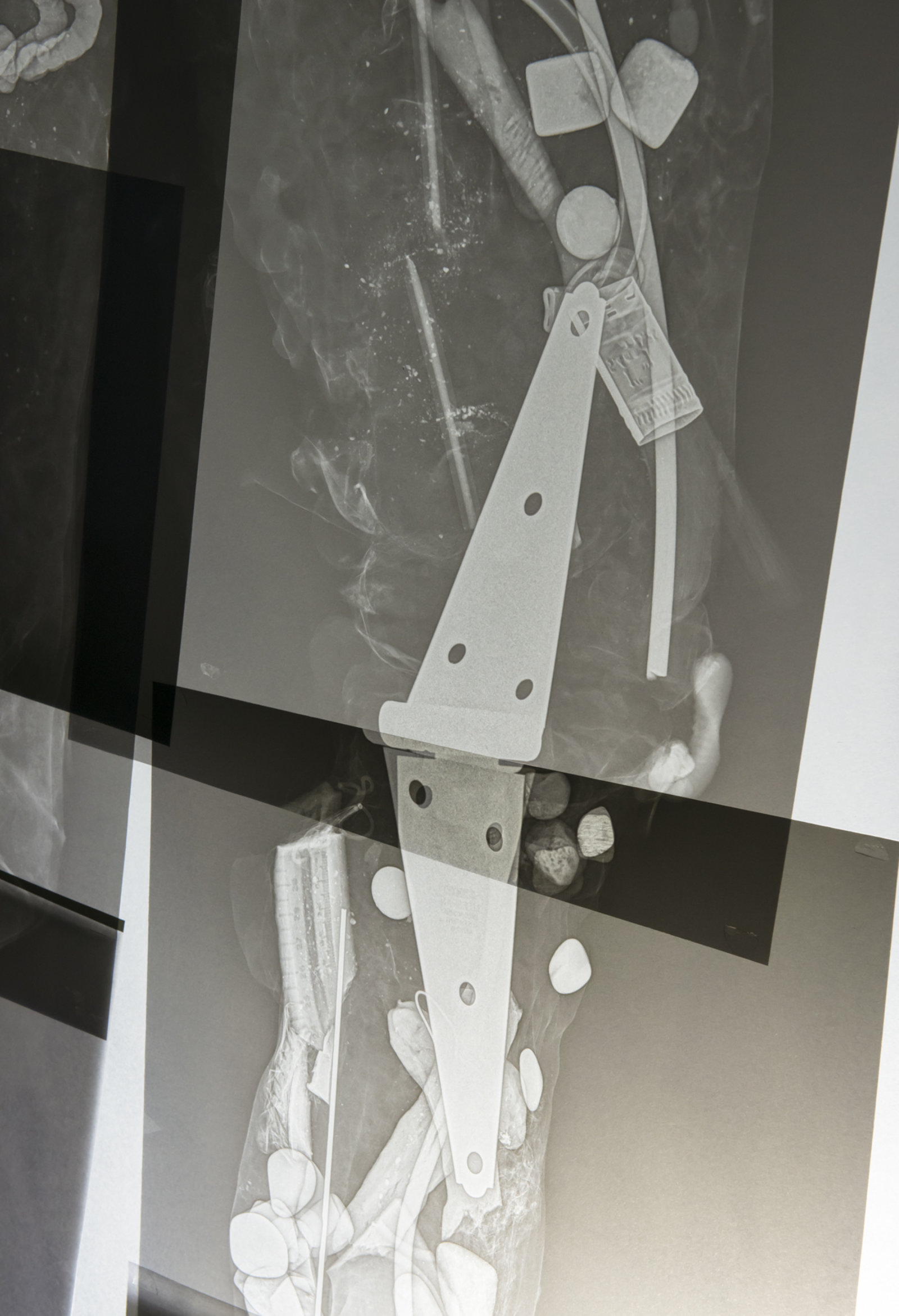 Kasper Feyrer, Extra Rays (detail), 2018, digital x-ray on transparency, sanded plexiglass, 95 x 48 x 14 in. (241 x 122 x 36 cm)