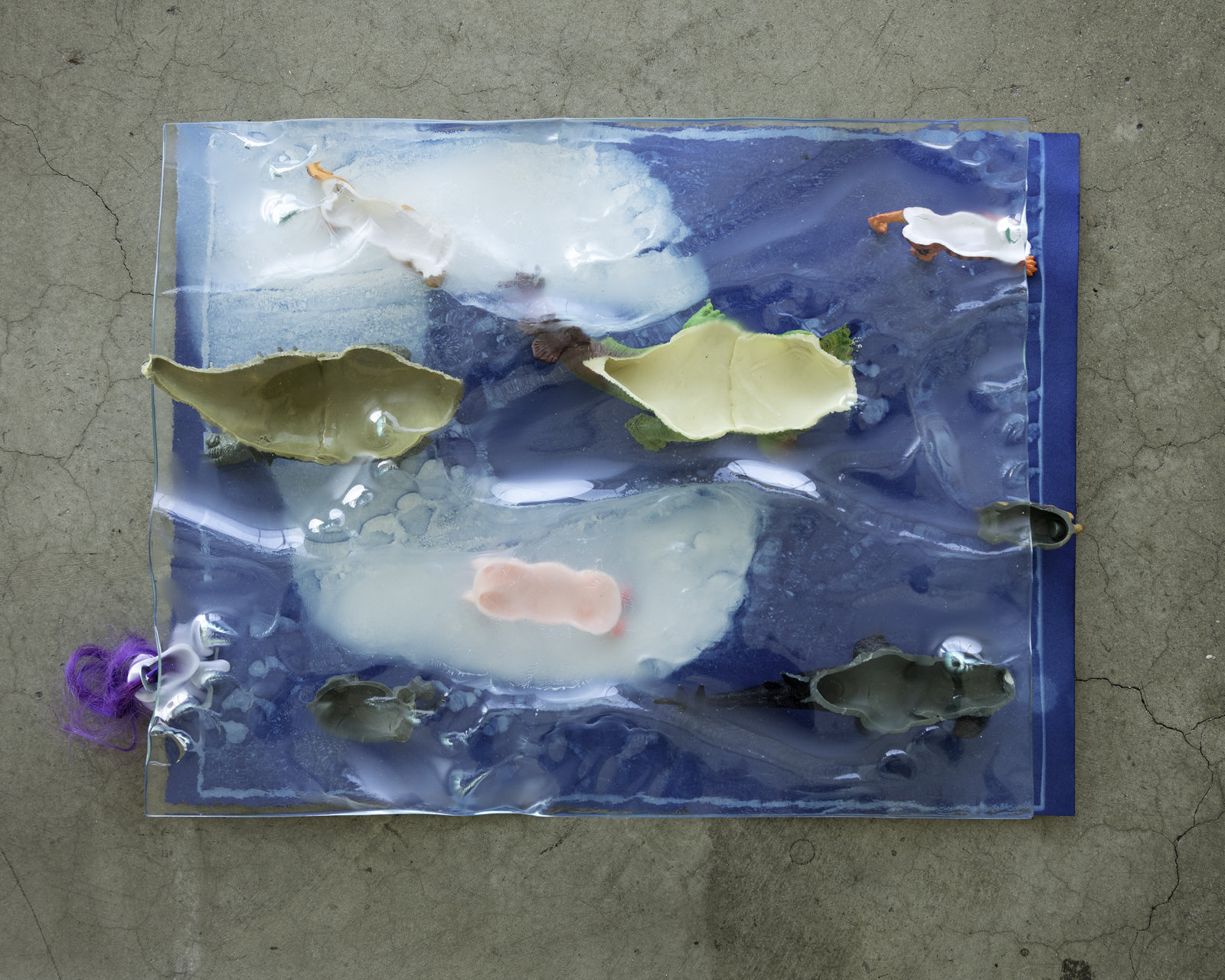 Kasper Feyrer, New Pedestrians, 2017, float glass, sunscreen, cyanotype, creatures' feet, dimensions variable