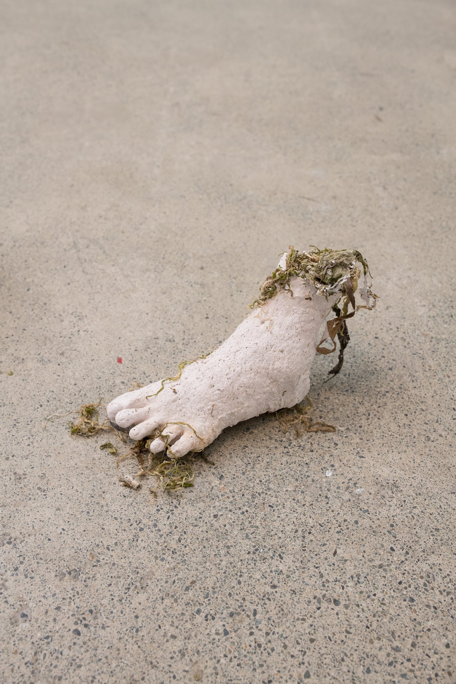 Kasper Feyrer, Propagators (detail), 2019, silicone, stones, plaster, alginate, Ulva intestinalis (gutweed), permanent marker on plaster bandage, coal slack, soil, Daphne laureola (spurge laurel), found objects, 19 x 138 x 24 in. (48 x 351 x 19 cm)