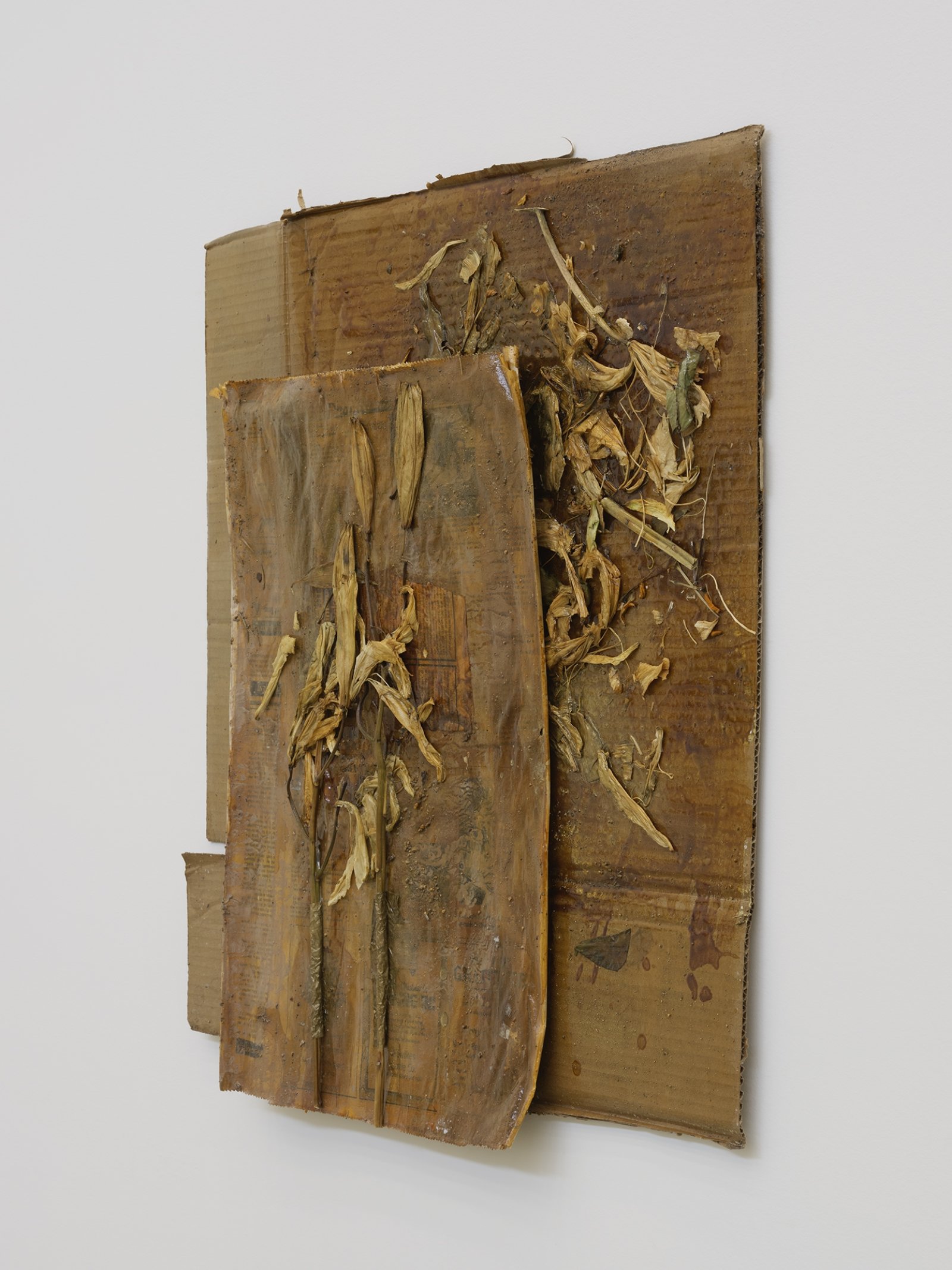 Rochelle Goldberg, Dirty Wall X, 2019, cardboard, newsprint, tissue paper, lilies, shellac, gold pigment, dirt from the river, 28 x 28 in. (71 x 71 cm) by Rochelle Goldberg