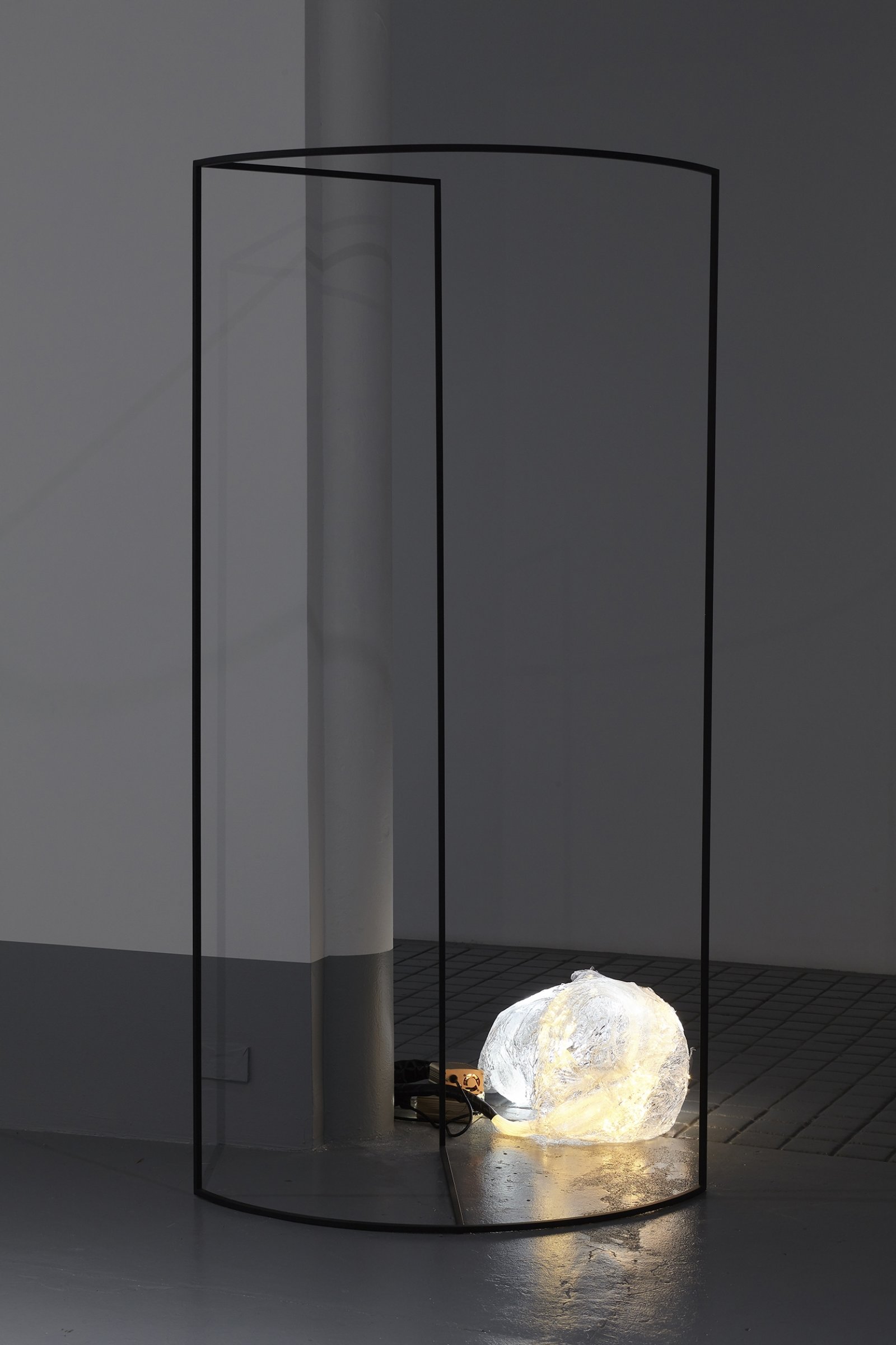 Rochelle Goldberg, “Thus a bony cavernous circuit encloses the eye”, 2017, fibre-optic LED wire, plexi resin, steel frame, 80 x 41 x 23 in. (203 x 104 x 58 cm). Installation view, Intralocutors, Miguel Abreu Gallery, New York, USA, 2017