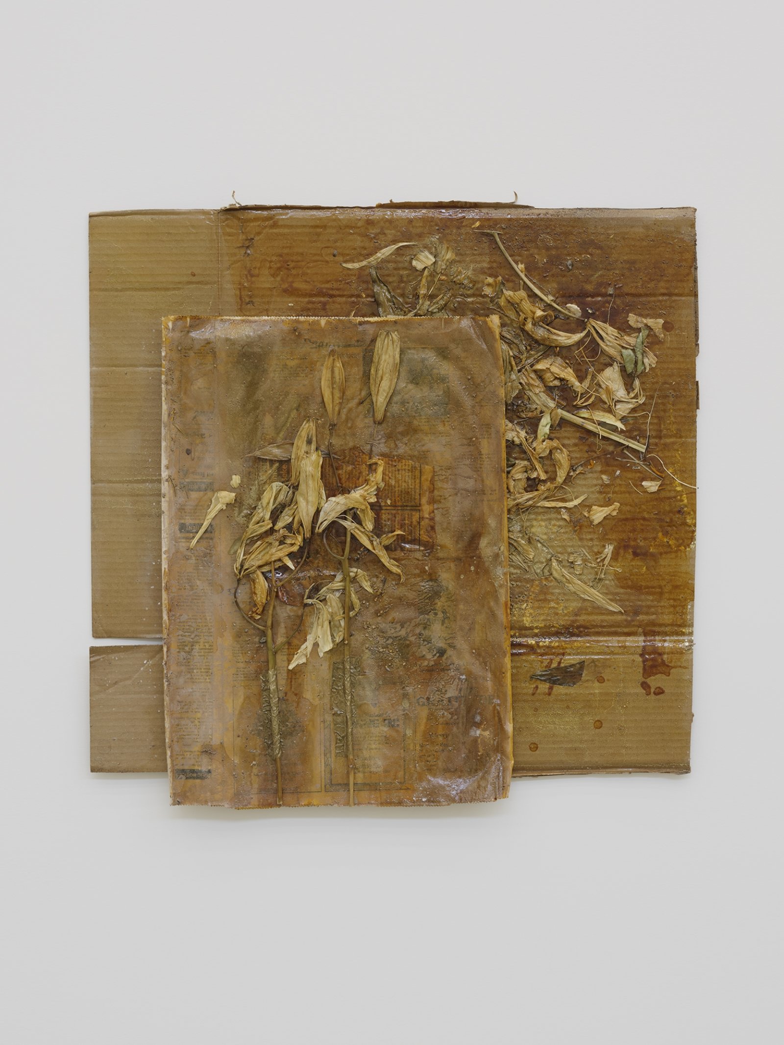 Rochelle Goldberg, Dirty Wall X, 2019, cardboard, newsprint, tissue paper, lilies, shellac, gold pigment, dirt from the river, 28 x 28 in. (71 x 71 cm)