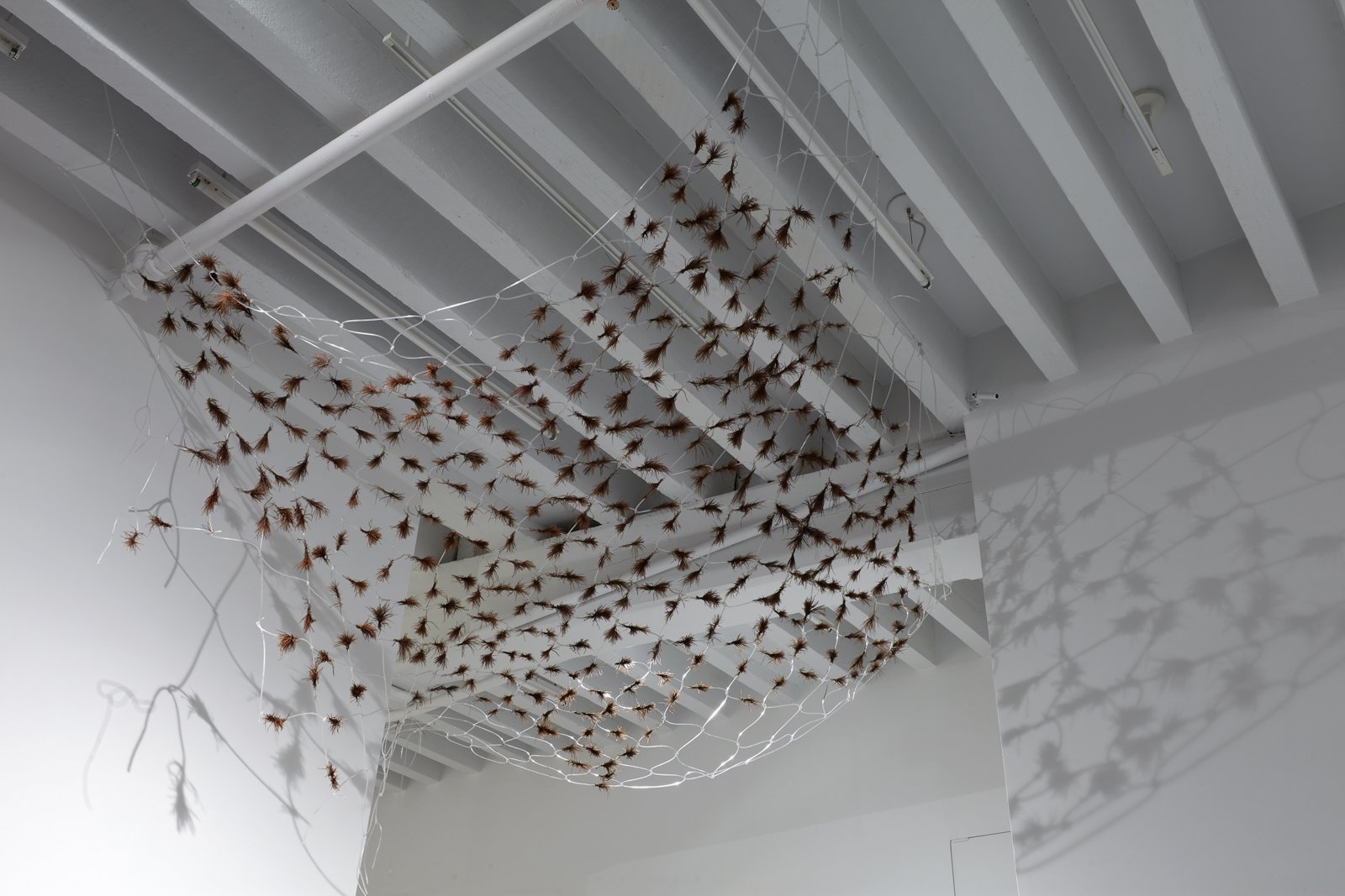 Rochelle Goldberg, Swarm, 2017, feather, nylon, dimensions variable. Installation view, Intralocutors, Miguel Abreu Gallery, New York, USA, 2017