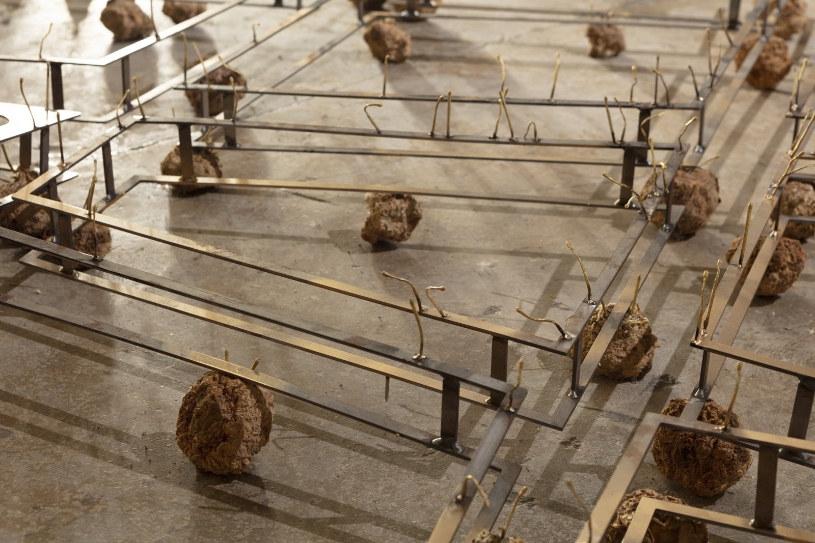 Rochelle Goldberg, Track (can you trigger the switch?) (detail), 2018, celeriac, steel, brass, dispersion paint, 8 x 139 x 71 in. (20 x 353 x 180 cm). Installation view, born in a beam of light, The Power Station, Dallas, 2019