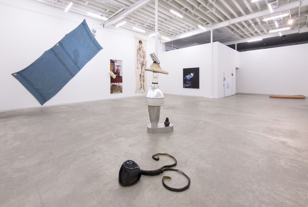 ​Liz Magor, Jerry Pethick, Ron Tran, installation view, ​A view believed to be yours​, 2015 by 