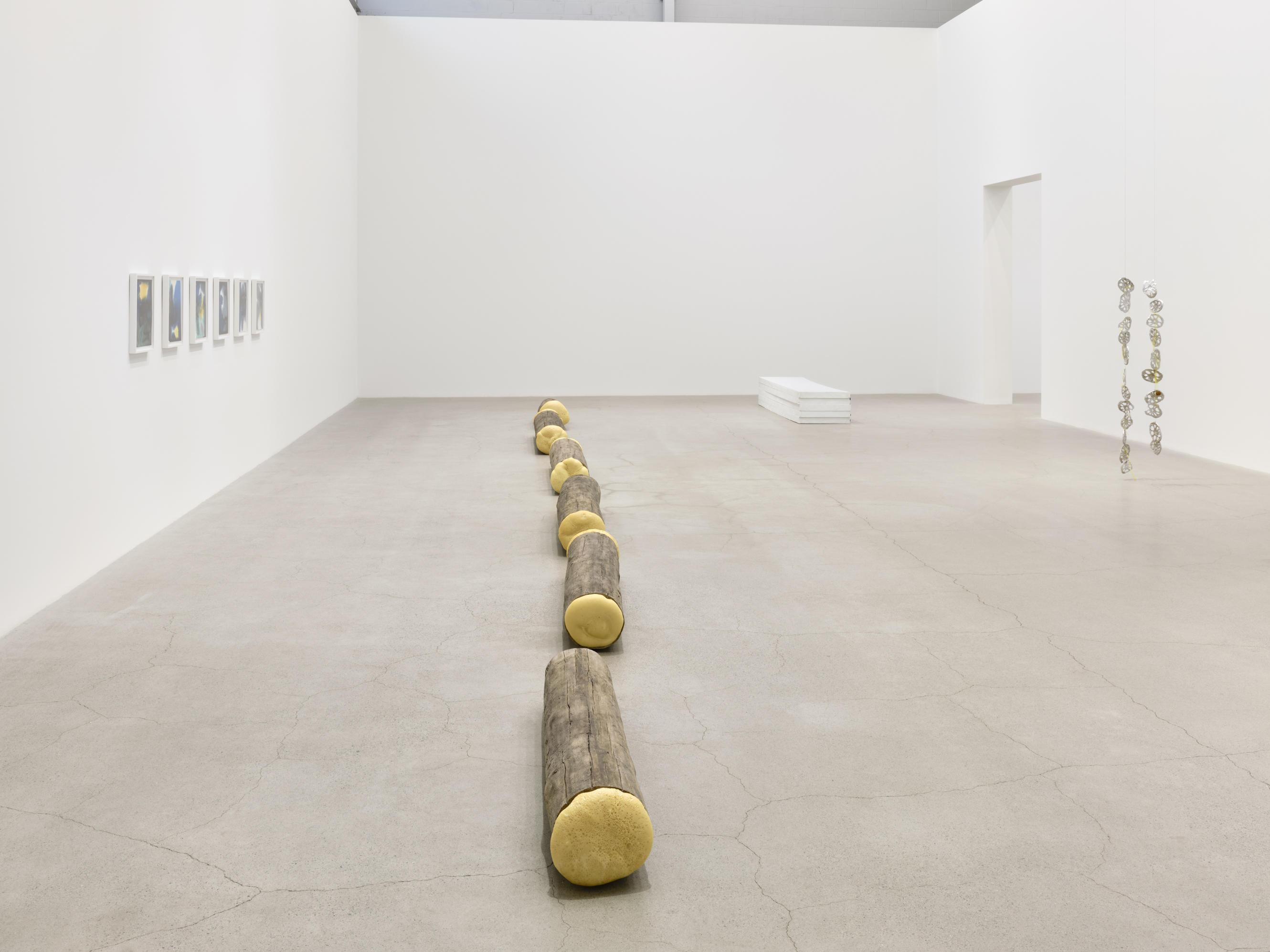 Liz Magor, Laurie Kang, Valérie Blass, installation view, Do Redo Repeat, Catriona Jeffries, Vancouver, 2022 by 