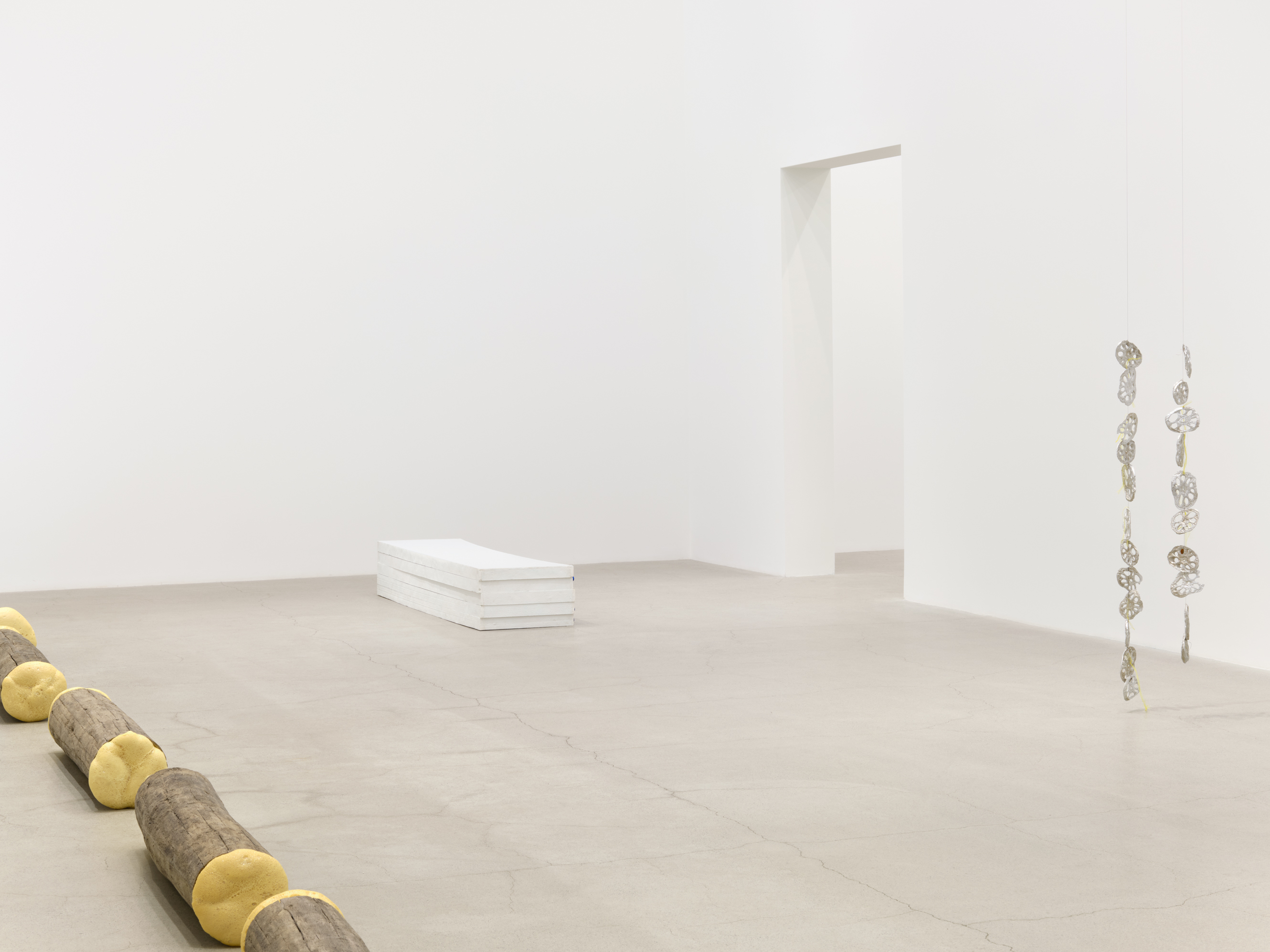 Liz Magor, Laurie Kang, installation view, Do Redo Repeat, Catriona Jeffries, Vancouver, 2022 by 