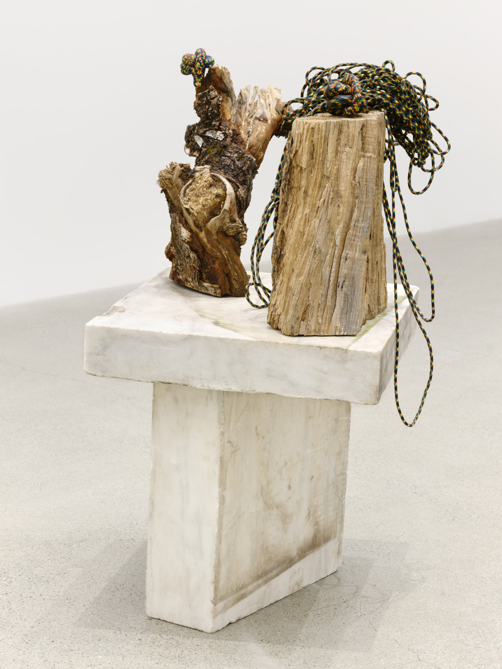 Valérie Blass, On ne trouve que ce l’an cherche (l’archéologie), 2021, wood, polymer clay, rope, marble, 31 x 16 x 18 in. (79 x 41 x 46 cm)