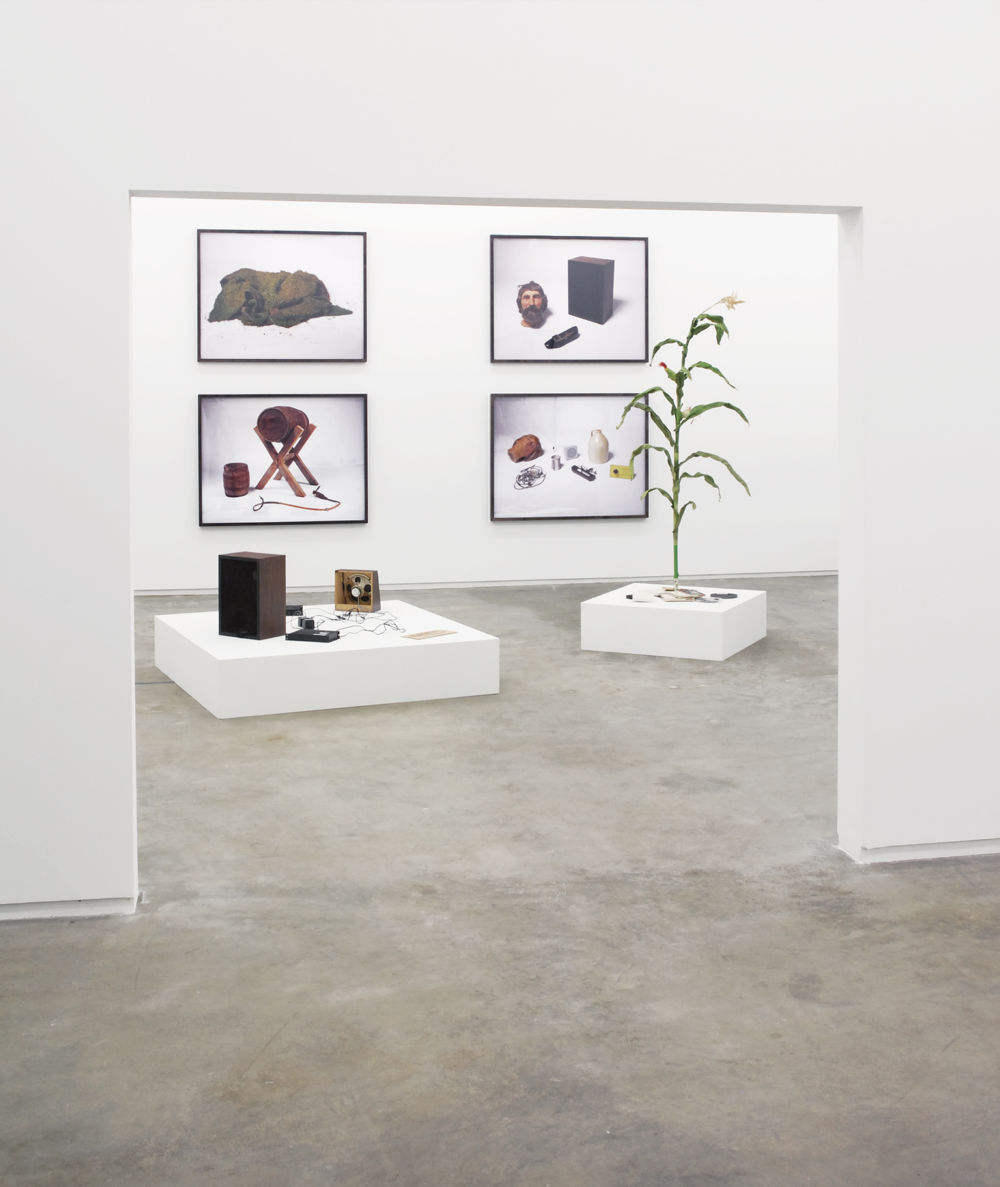 ​Sam Durant, installation view, ​Scenes from the Pilgrim Story: Natural History​, Catriona Jeffries, 2007 by 