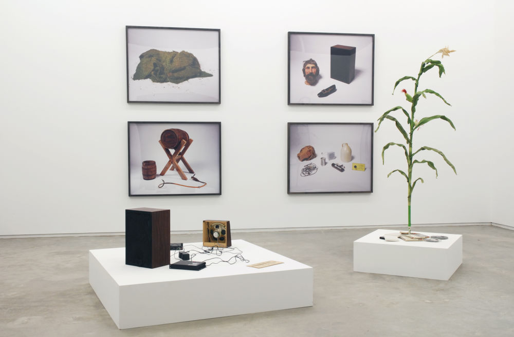 ​Sam Durant, installation view, ​Scenes from the Pilgrim Story: Natural History​, Catriona Jeffries, 2007 by 