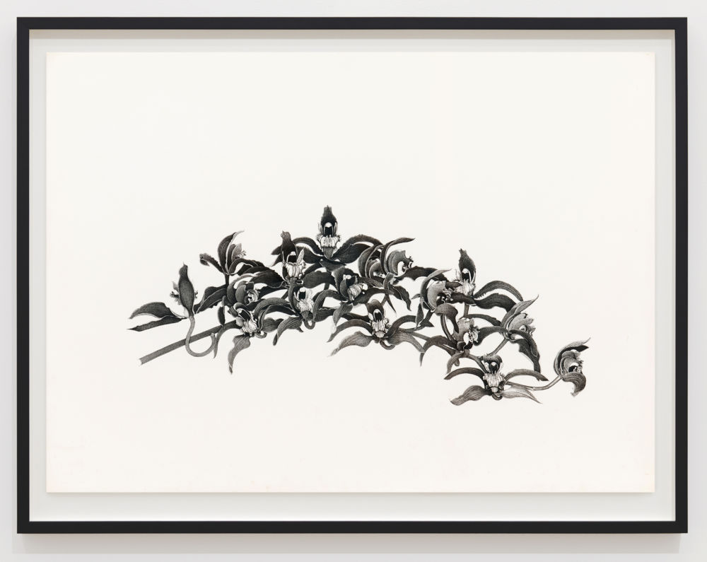 Charmian Johnson, not titled, 1980, ink and graphite on paper, 26 x 34 in. (65 x 85 cm) by 
