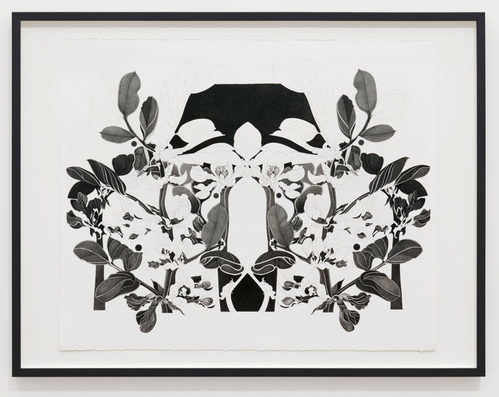 ​Charmian Johnson, not titled, 1978–80, ink and graphite on paper, 26 x 34 in. (65 x 85 cm) by 