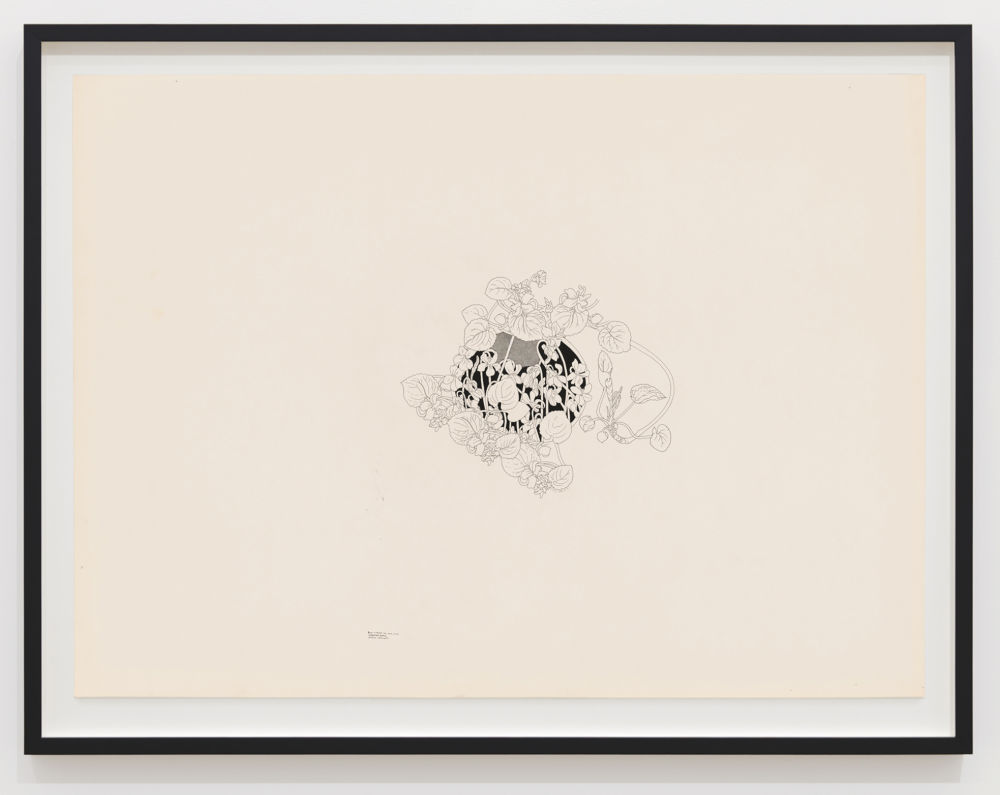 ​Charmian Johnson, not titled, c. 1978–80, ink on paper, 26 x 34 in. (65 x 85 cm) by 