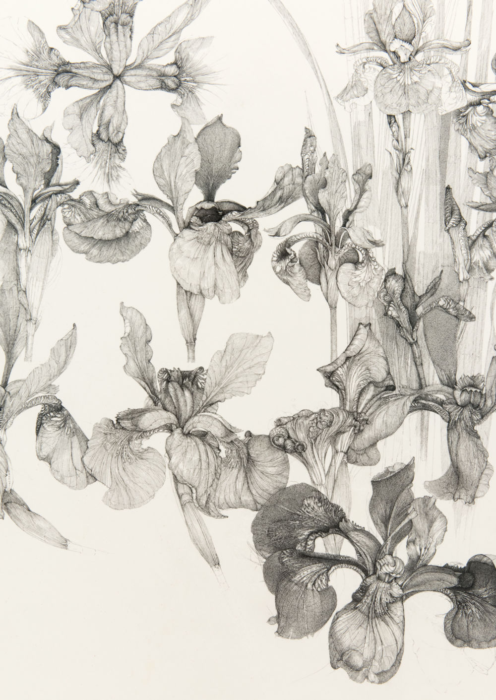 ​Charmian Johnson, detail view, completed 2017, ink on paper, 34 x 26 in. (86 x 66 cm)​​ by 