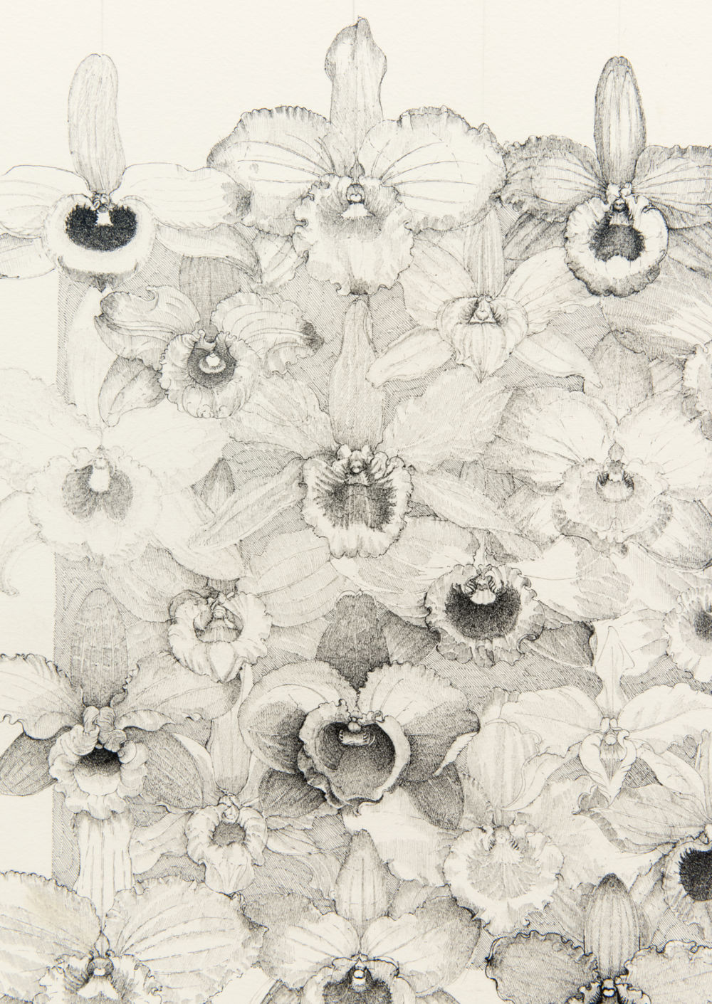 ​Charmian Johnson, detail view, 1985–1988, ink on paper, 34 x 26 in. (86 x 66 cm)​​ by 
