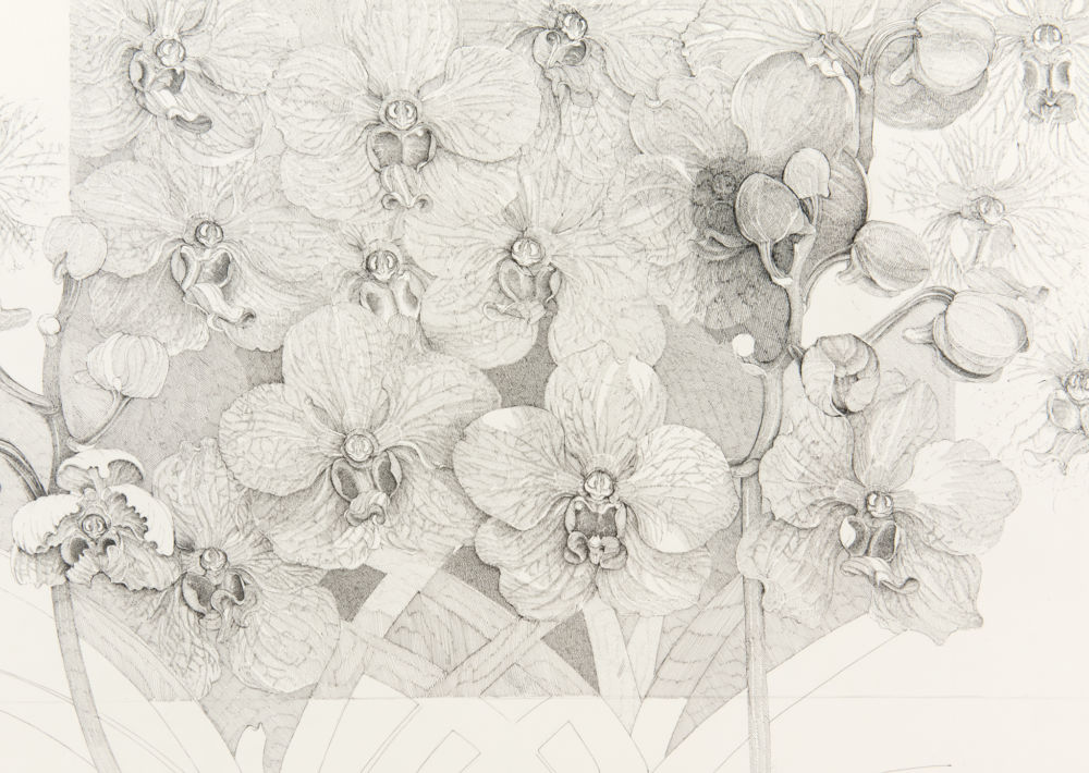 ​​Charmian Johnson, detail view, 1986, ink on paper, 34 x 26 in. (86 x 66 cm)​ by 