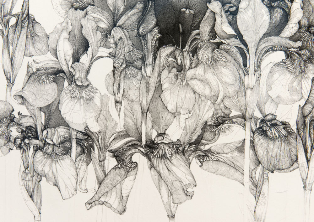 ​​Charmian Johnson, detail view, completed 2018, ink on paper, 26 x 34 in. (66 x 86 cm)​​ by 