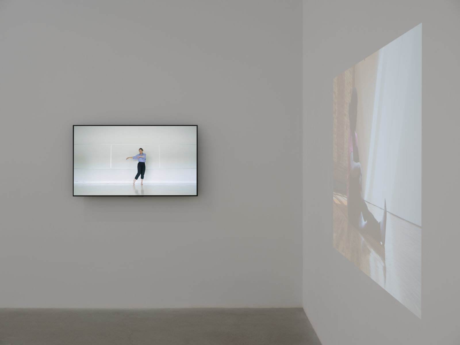 Tanya Lukin Linklater, ...you are judged to be going against the flow because you are insistent., Parts 1 and 2, 2017, video, monitor (Part 1) 11:28 min; projection (Part 2), 14:52 min, dimensions variable