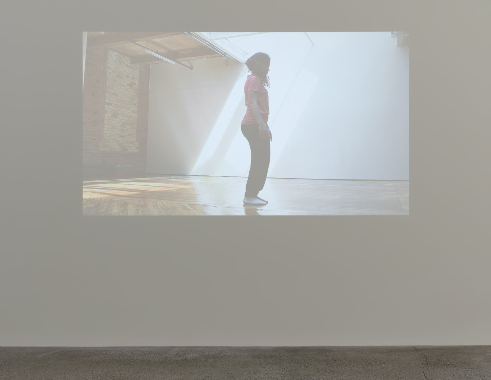 Tanya Lukin Linklater, ...you are judged to be going against the flow because you are insistent., Parts 1 and 2 (detail), 2017, video, monitor (Part 1) 11:28 min; projection (Part 2), 14:52 min, dimensions variable