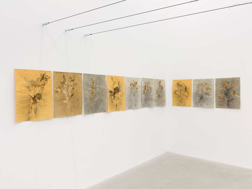Rochelle Goldberg, Bouquet, insufficient, 2021, pressed flower, graphite, pastel, bronze dust, shellac, on paper, 196 x 19 in. (498 x 47 cm) by 