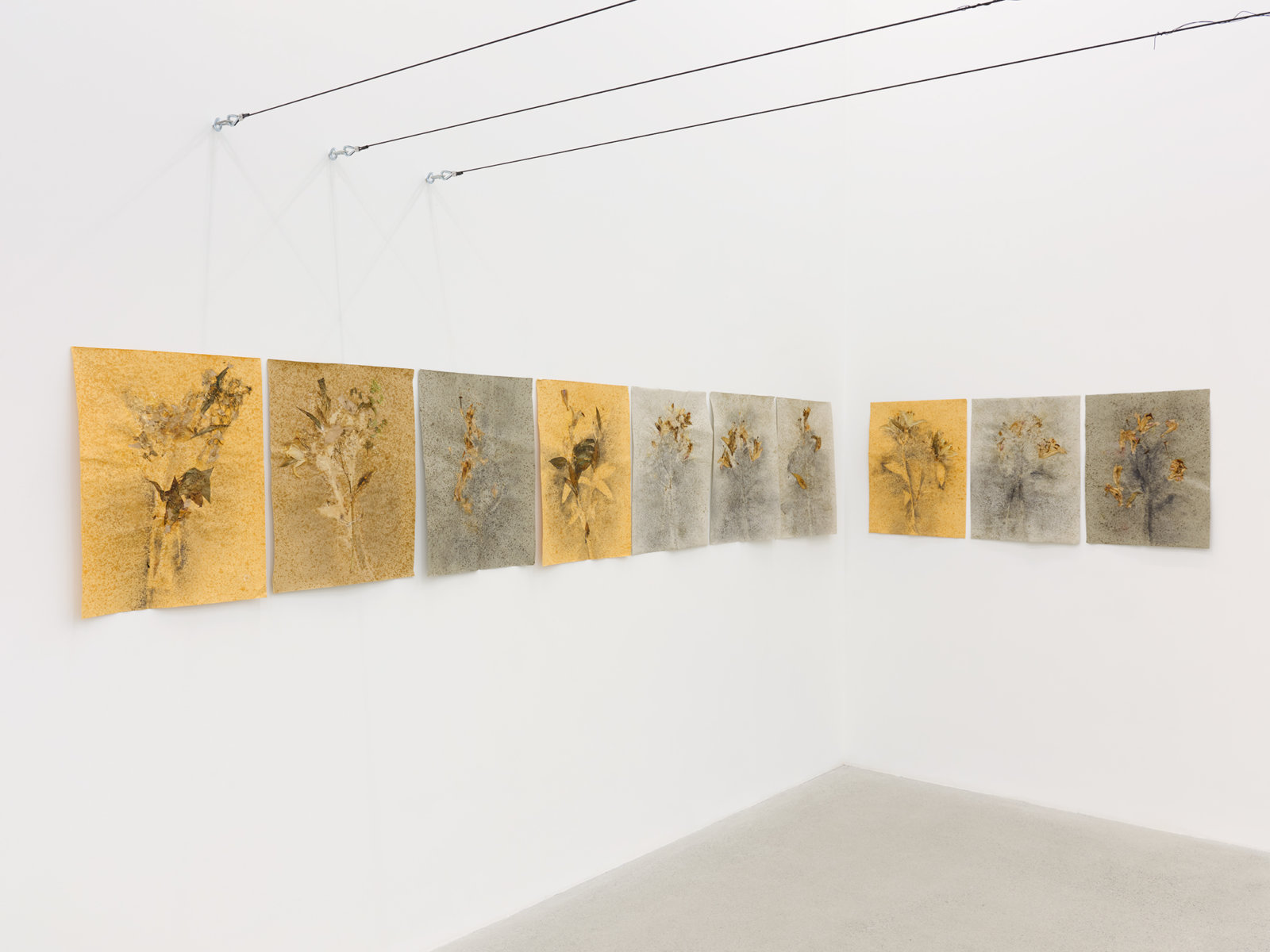 Rochelle Goldberg, Bouquet, insufficient, 2021, pressed flower, graphite, pastel, bronze dust, shellac, on paper, 196 x 19 in. (498 x 47 cm)