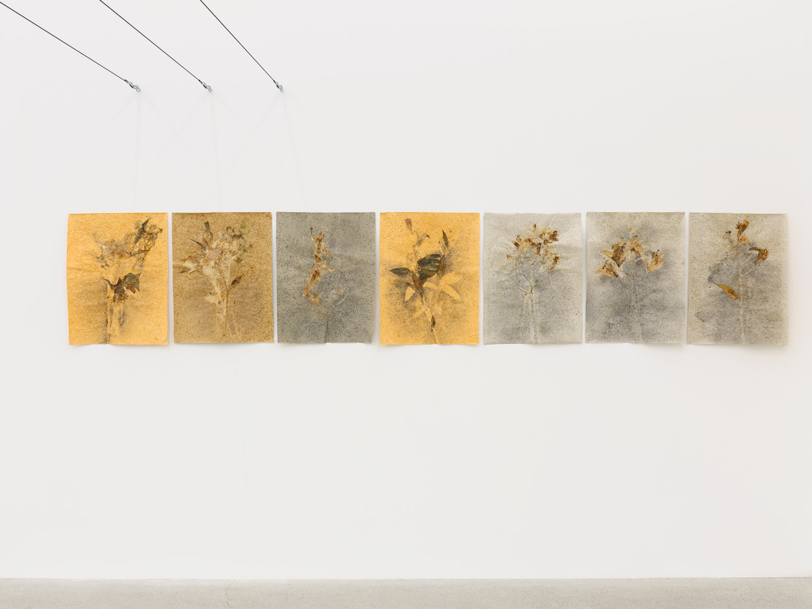 Rochelle Goldberg, Bouquet, insufficient (detail), 2021, pressed flower, graphite, pastel, bronze dust, shellac, on paper, 196 x 19 in. (498 x 47 cm)