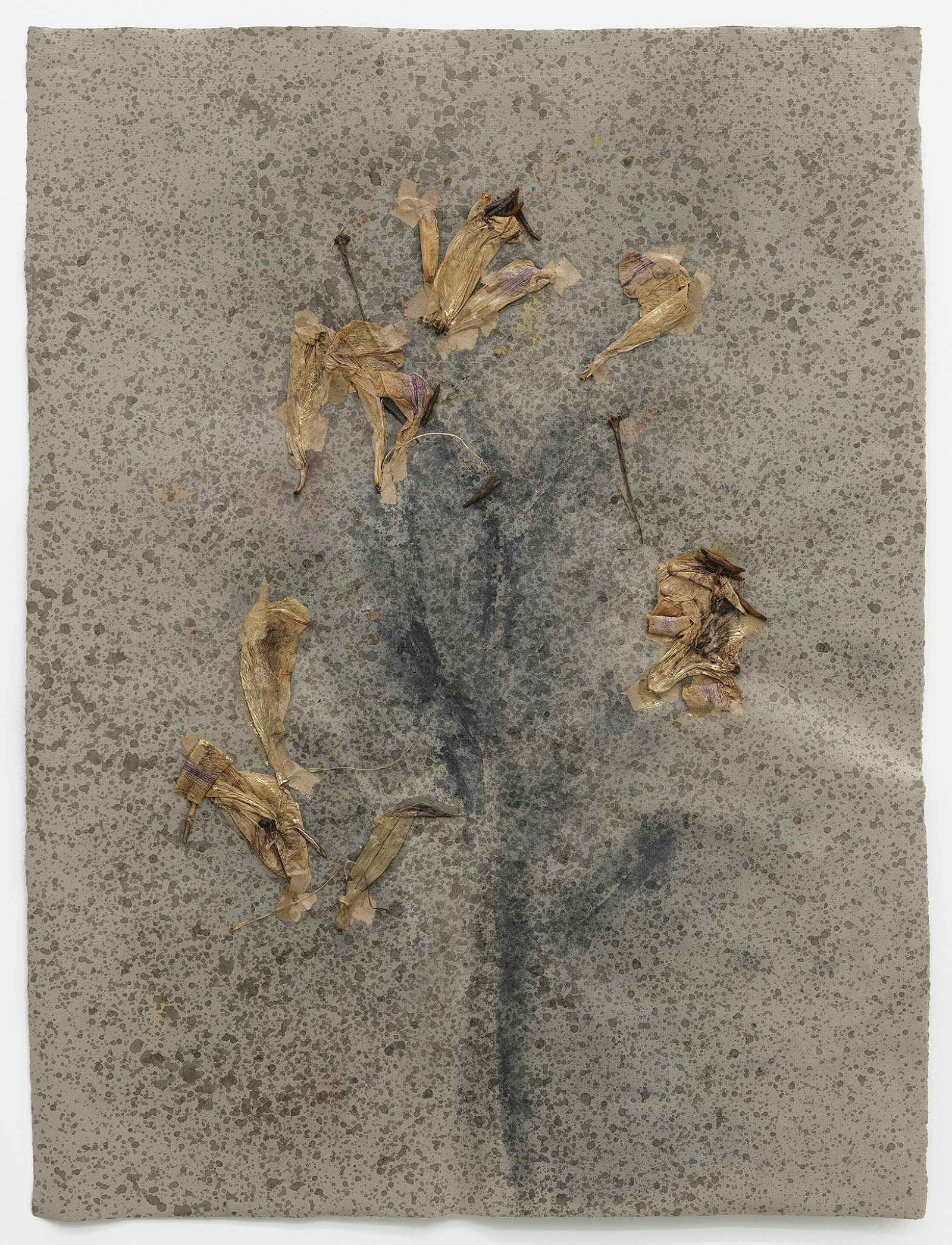 Rochelle Goldberg, Bouquet, insufficient (detail), 2021, pressed flower, graphite, pastel, bronze dust, shellac, on paper, 196 x 19 in. (498 x 47 cm)