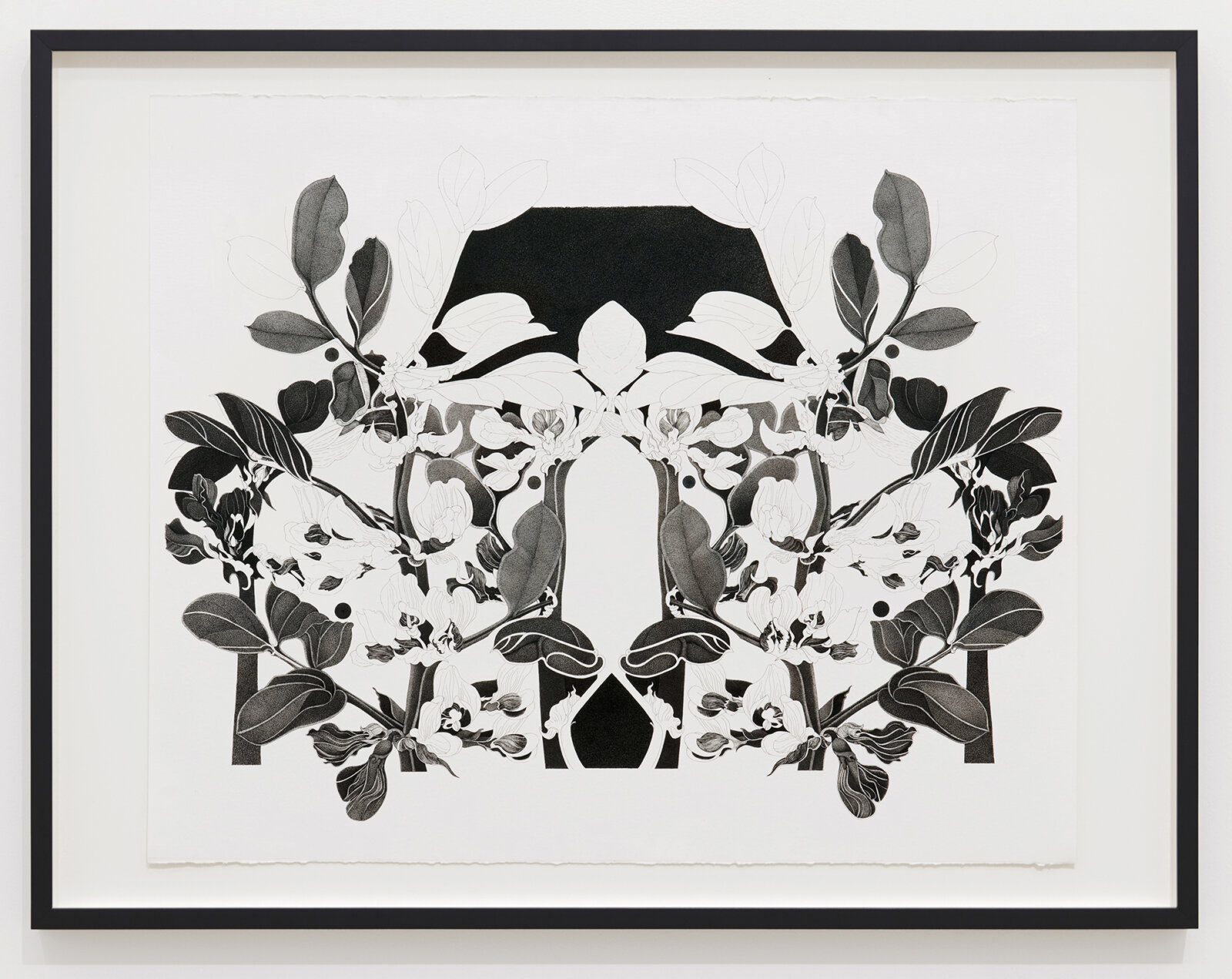 Charmian Johnson, not titled, 1978–1980, ink and graphite on paper, 26 x 34 in. (65 x 85 cm)