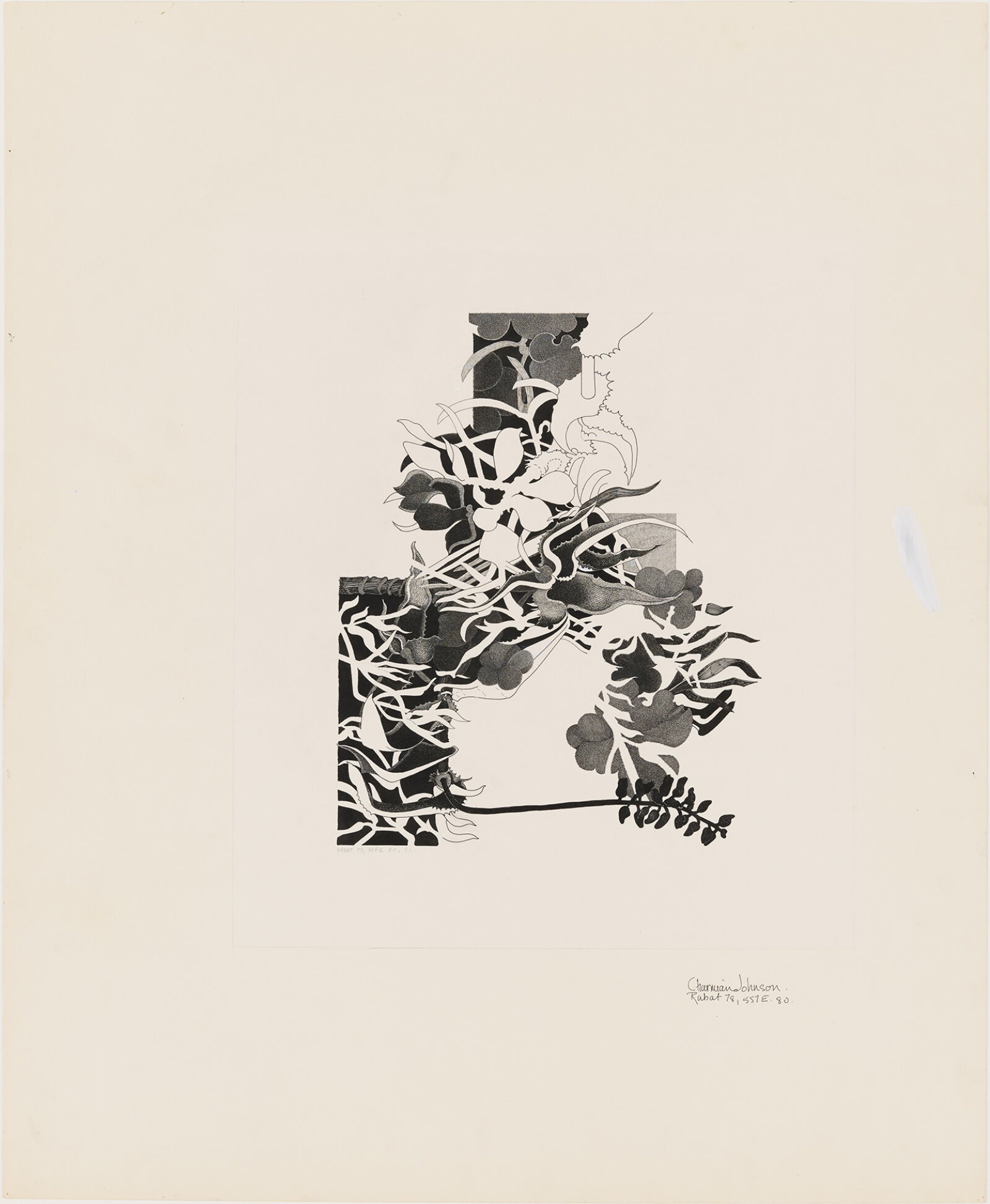 Charmian Johnson, not titled, 1978–1980, ink on paper, 28 x 26 in. (71 x 66 cm)