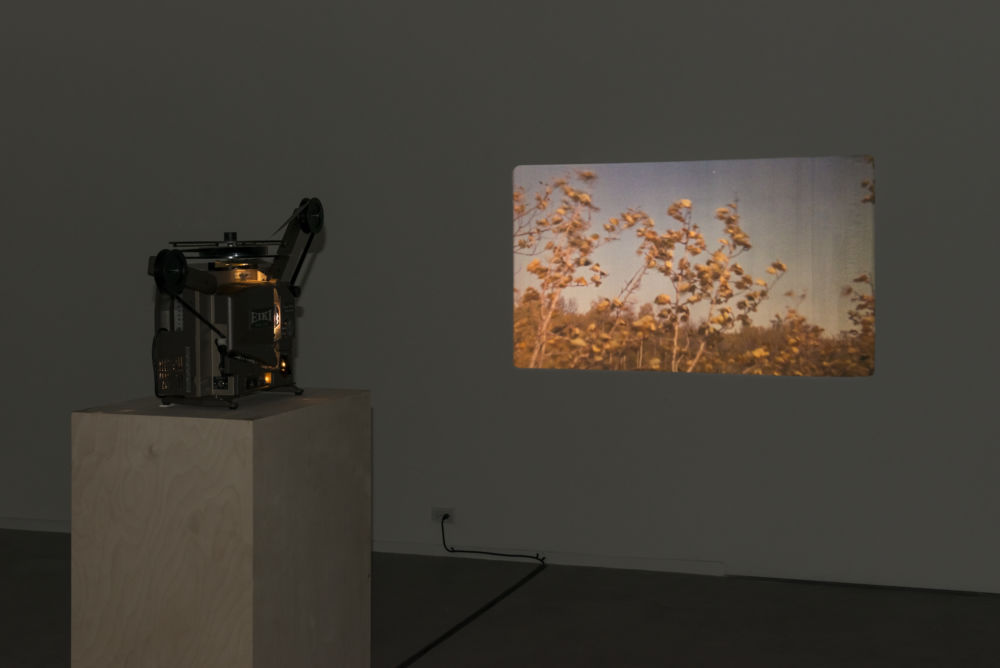 Brian Jungen and Duane Linklater, ​Stalker​, 2013​, super 16mm film loop on projector​, 2 minutes, 54 seconds by 