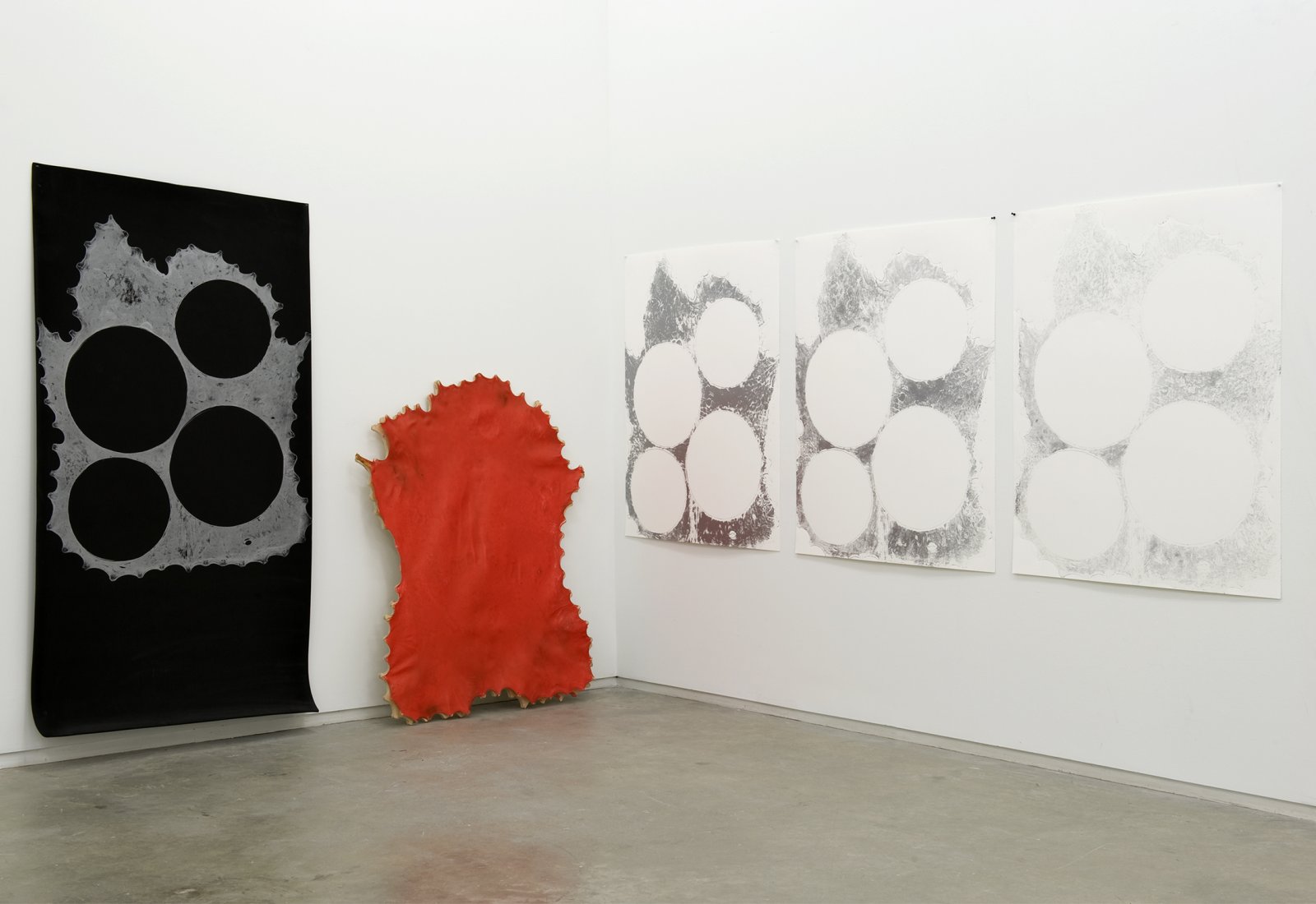 Brian Jungen, installation view, Catriona Jeffries, 2010  by Brian Jungen