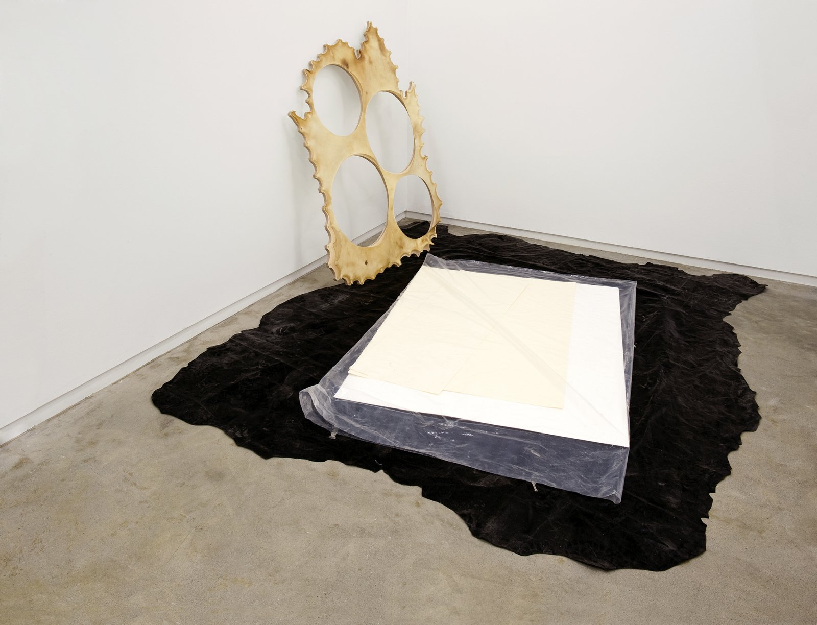 Brian Jungen, installation view, Catriona Jeffries, 2010  by Brian Jungen