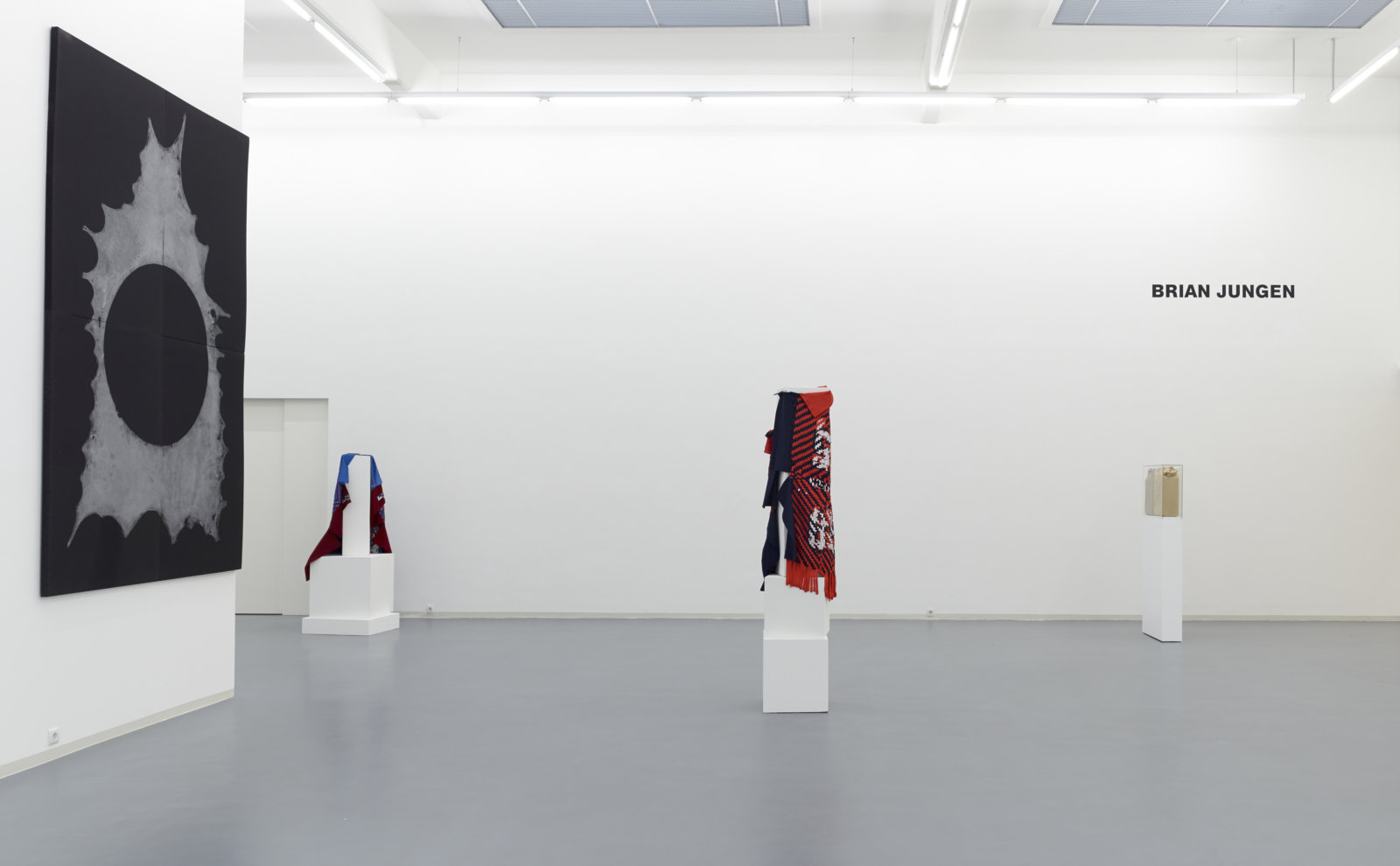 Brian Jungen - Bonner Kunstverein, NOVEMBER 20, 2013–FEBRUARY 2, 2014 ...