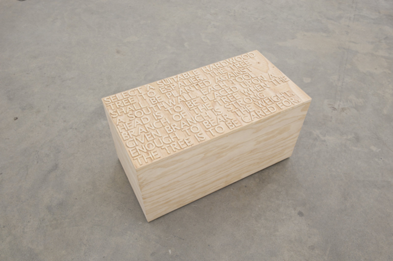 Brian Jungen, Bushido, 2012, fir plywood, axe heads, tree, book, 16 x 31 x 16 in. (41 x 79 x 41 cm)